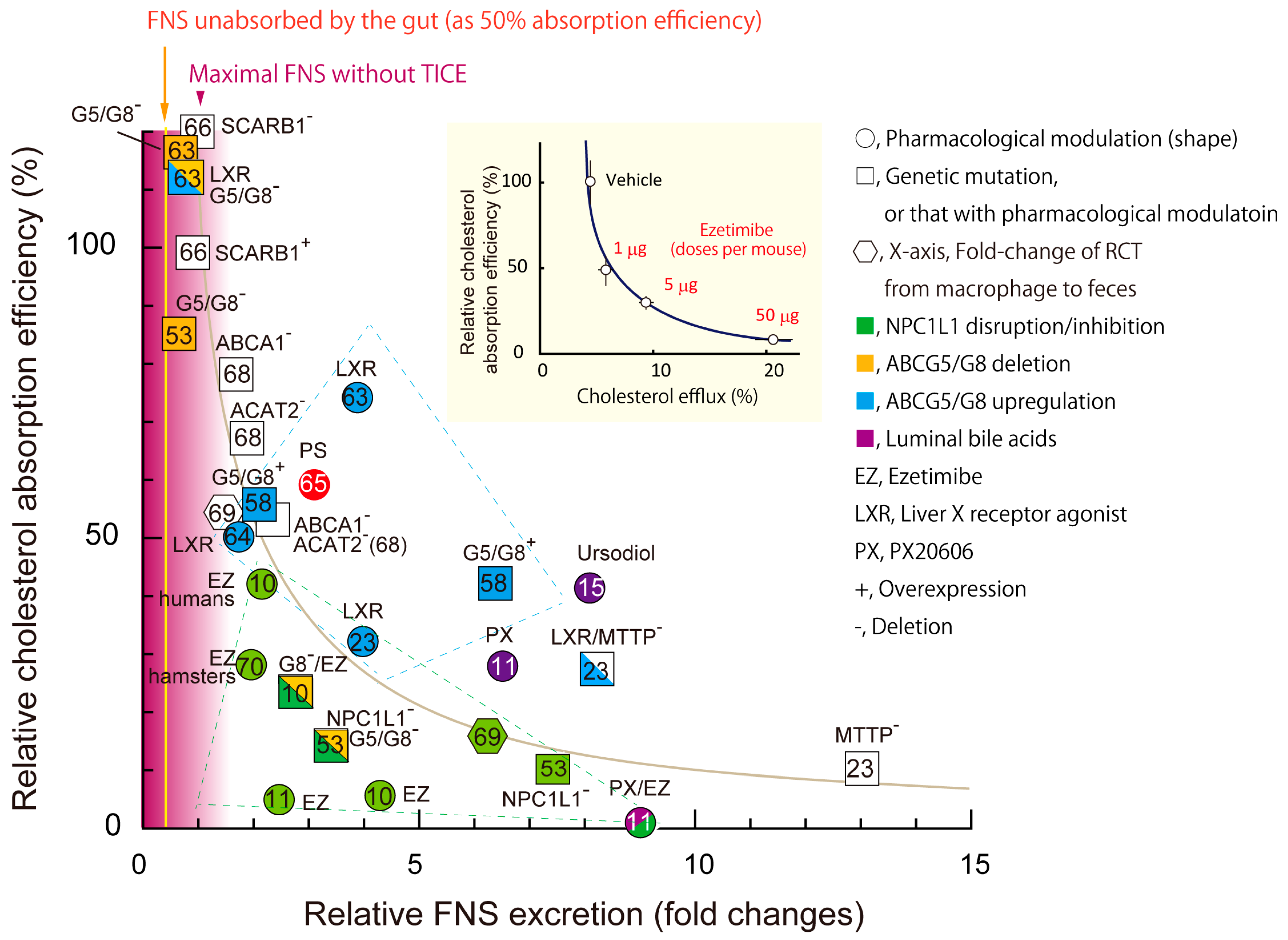 Nutrients 11 00310 g003