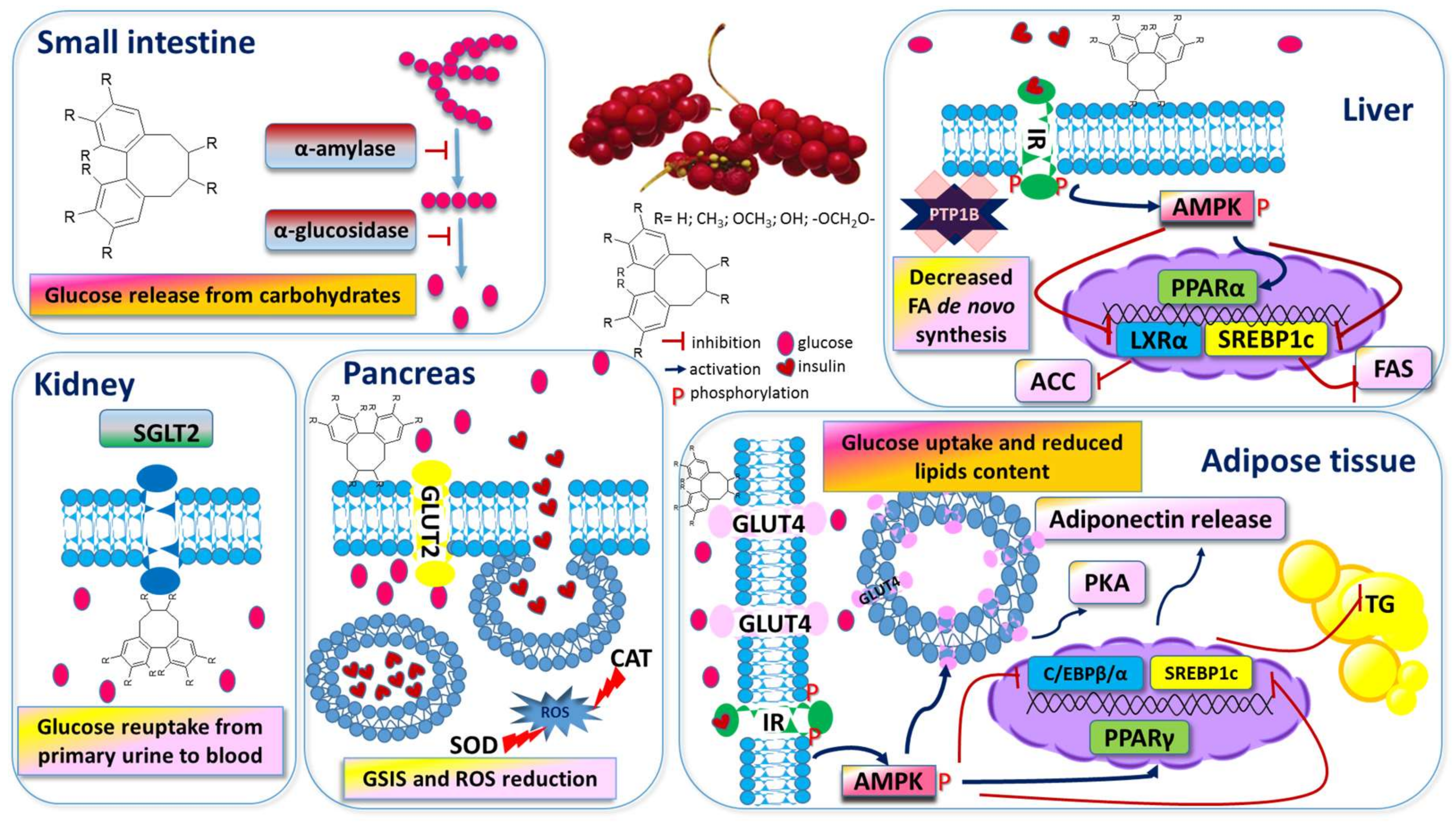 Nutrients 11 00333 g002