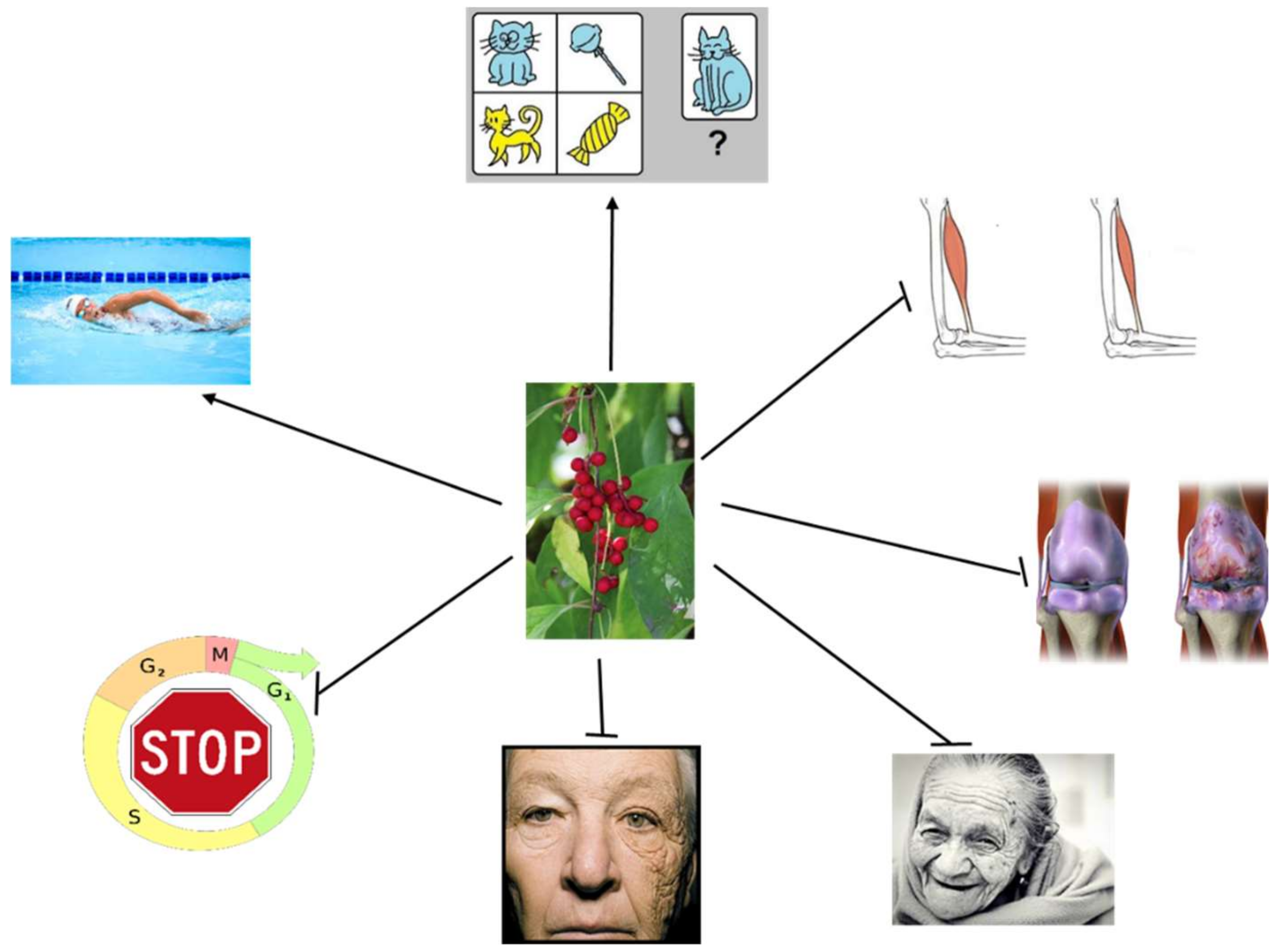 Nutrients 11 00333 g003