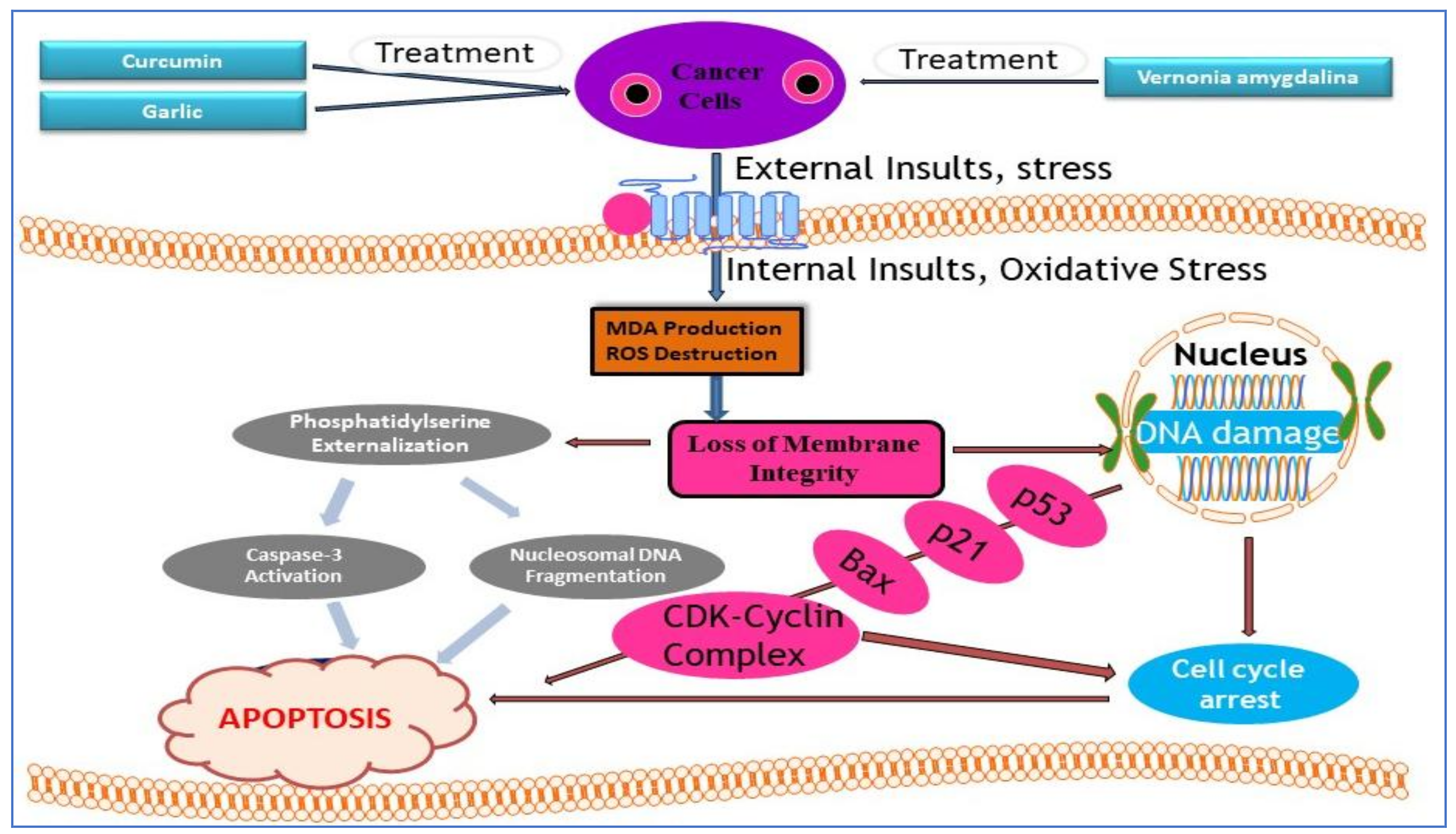 Nutrients 11 00336 g003 Nutrients 11 00336 g003