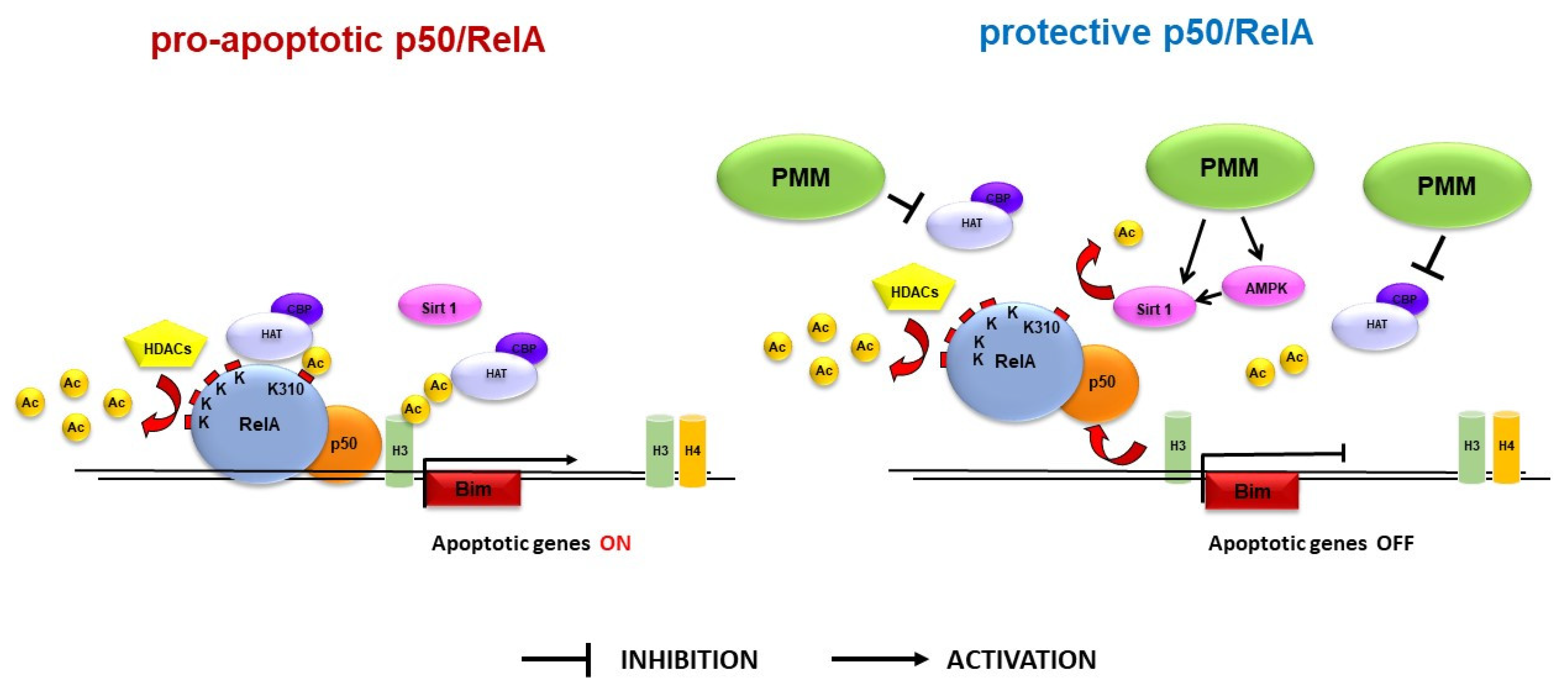Nutrients 11 00345 g005