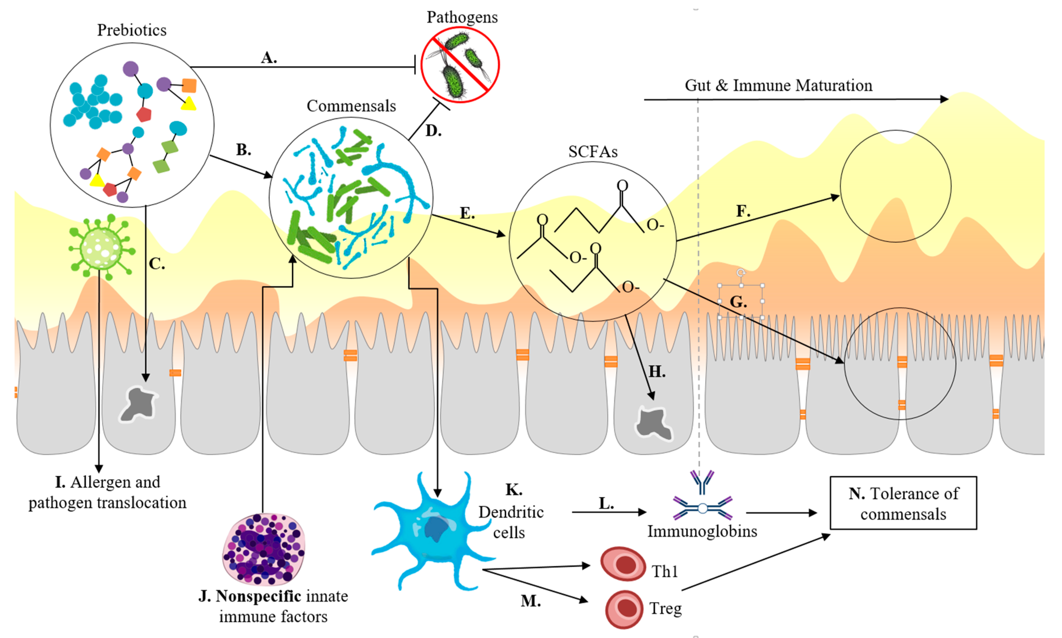 Nutrients 11 00364 g003