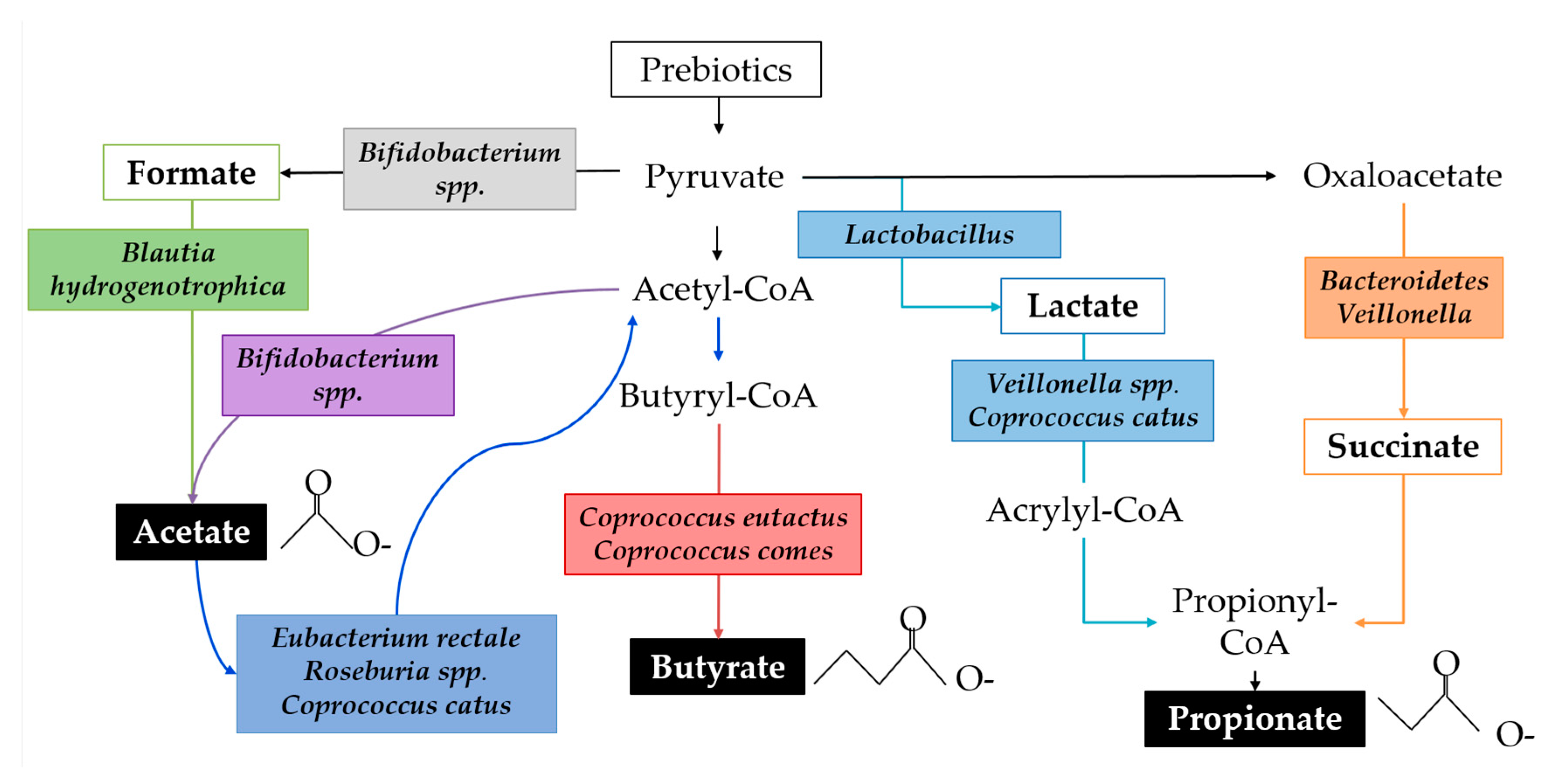 Nutrients 11 00364 g004