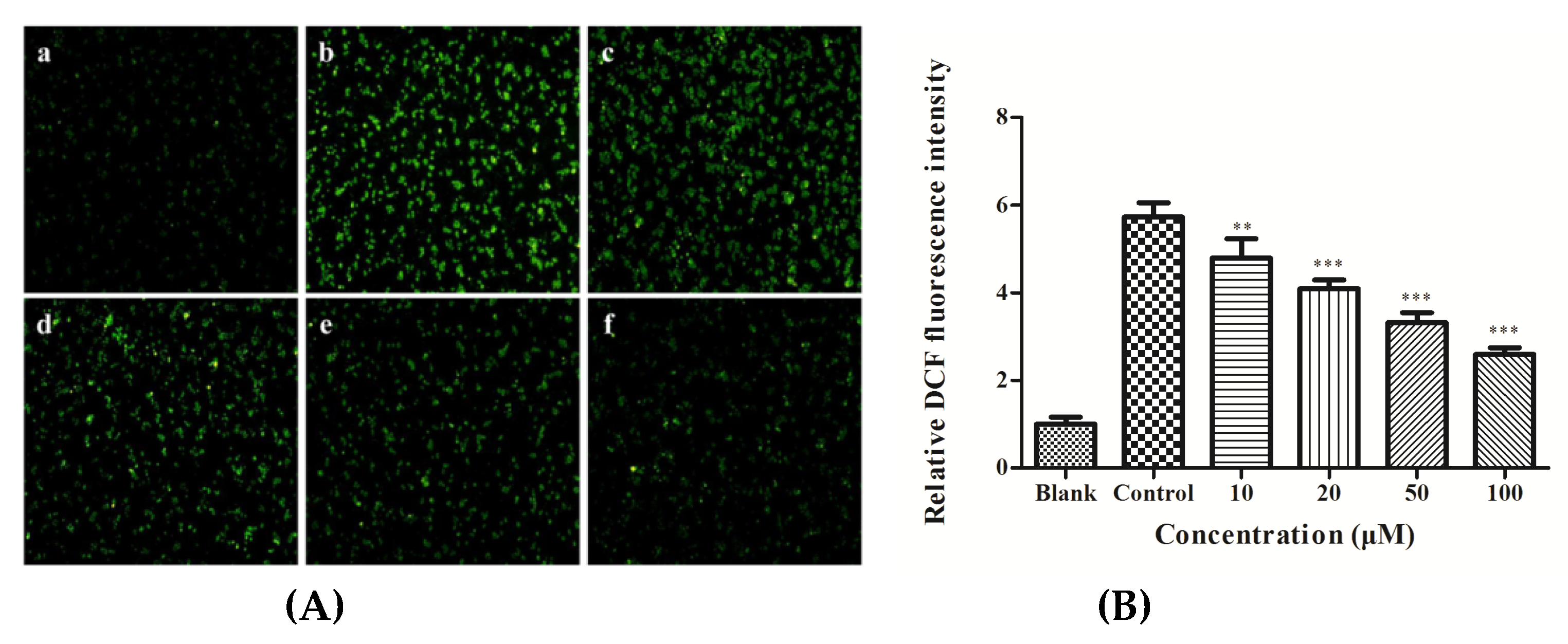 Nutrients 11 00392 g002