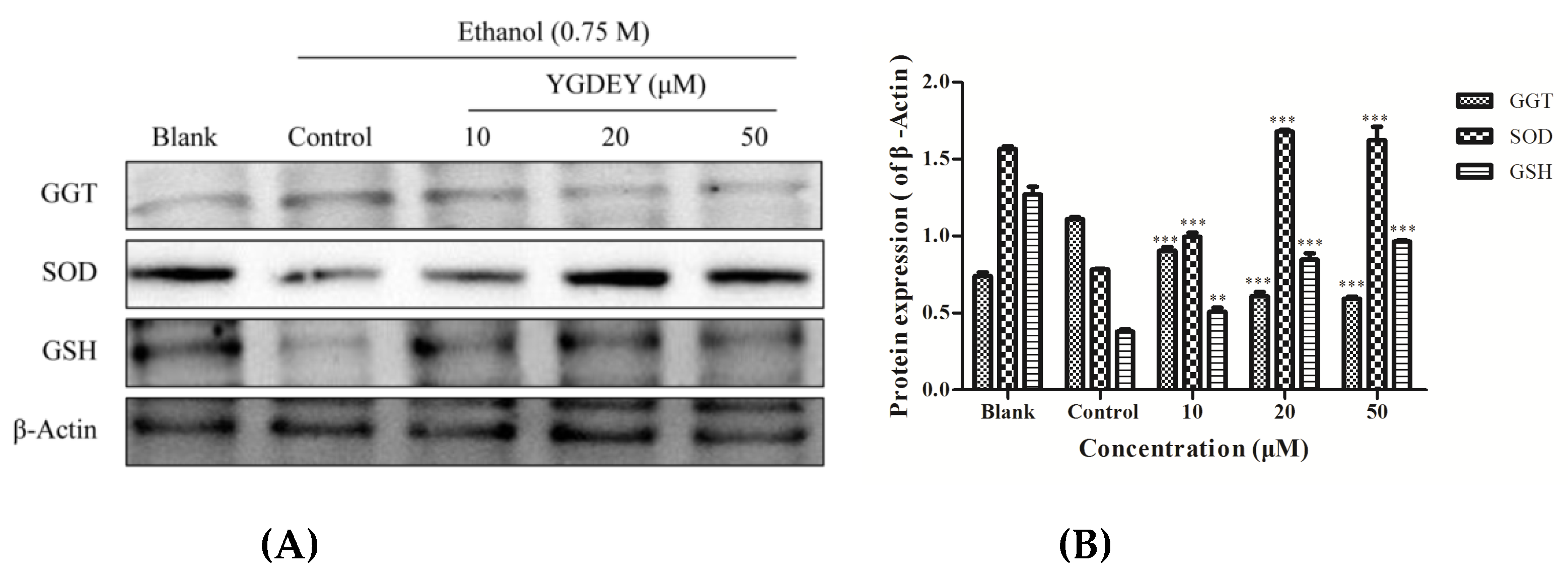 Nutrients 11 00392 g003