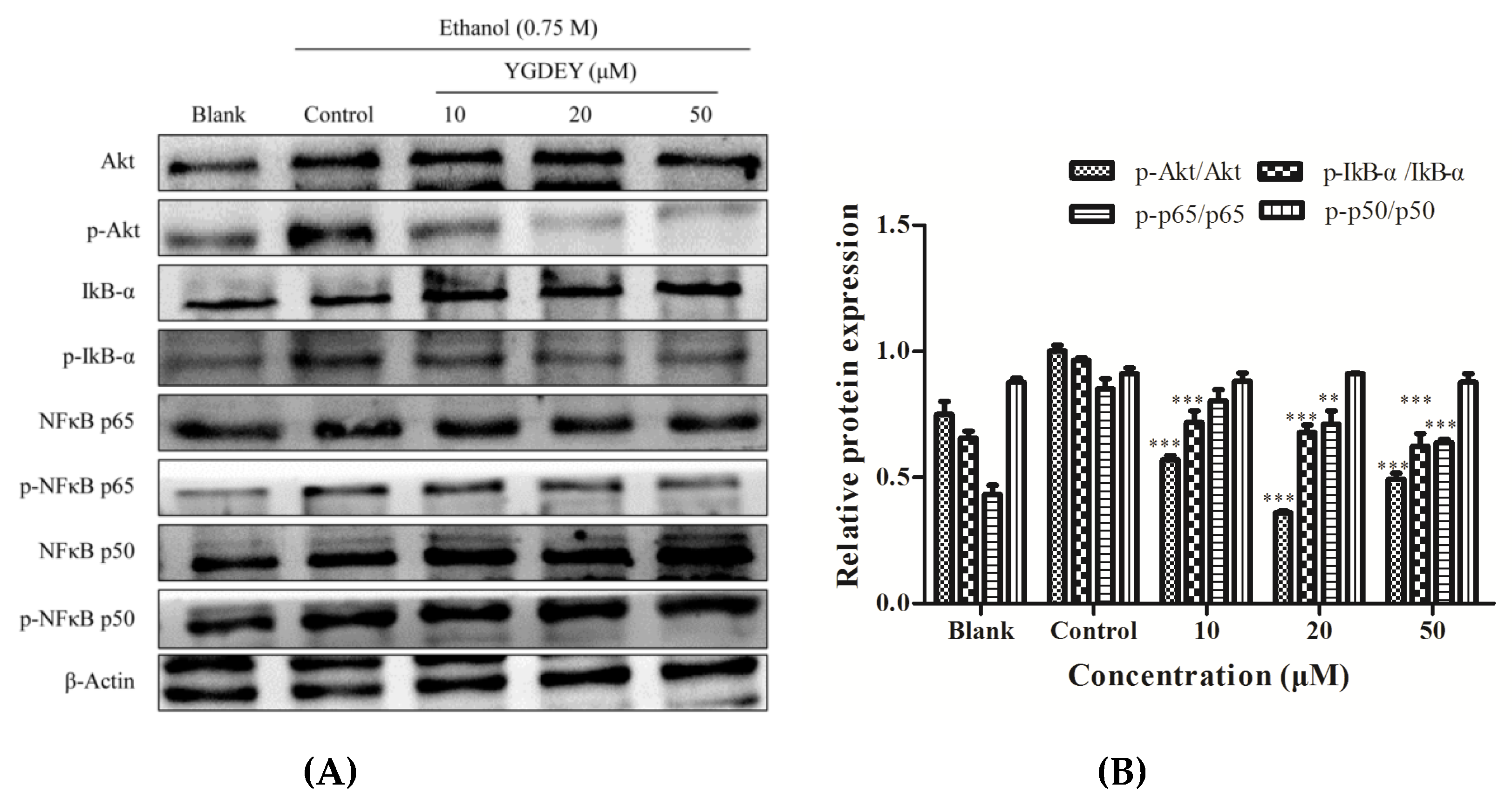 Nutrients 11 00392 g005