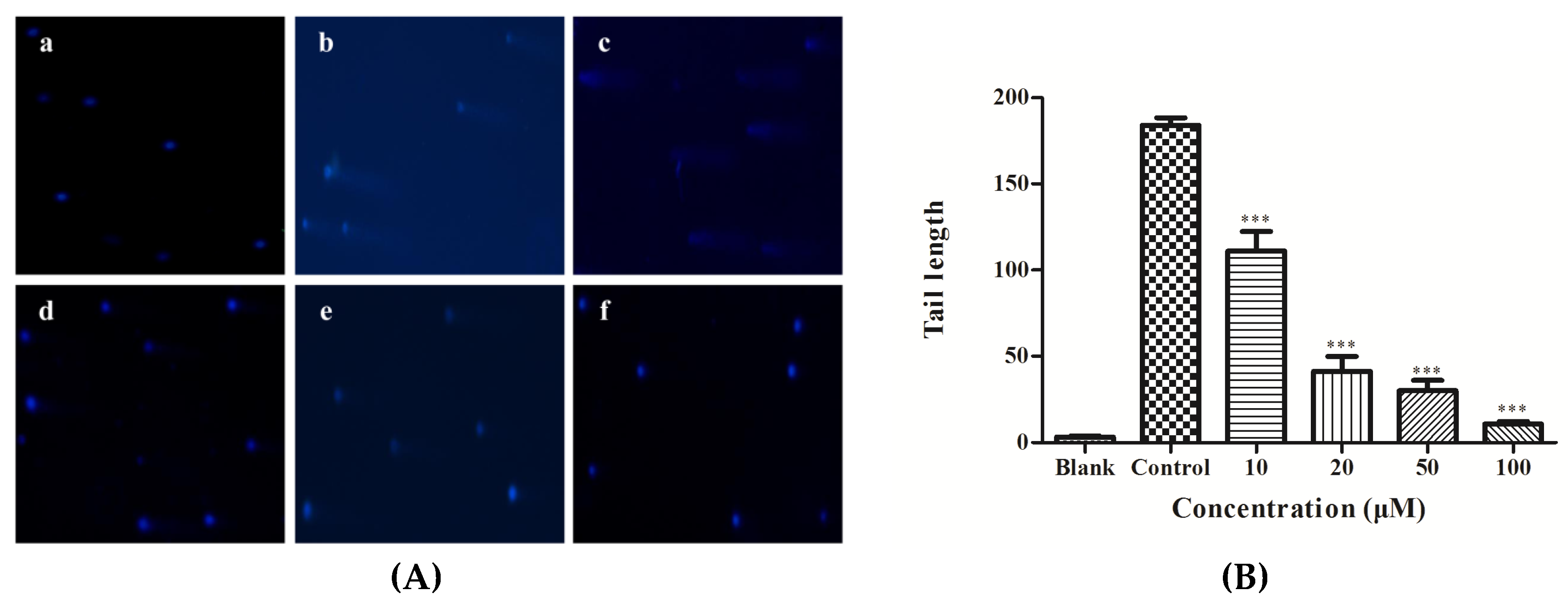 Nutrients 11 00392 g008