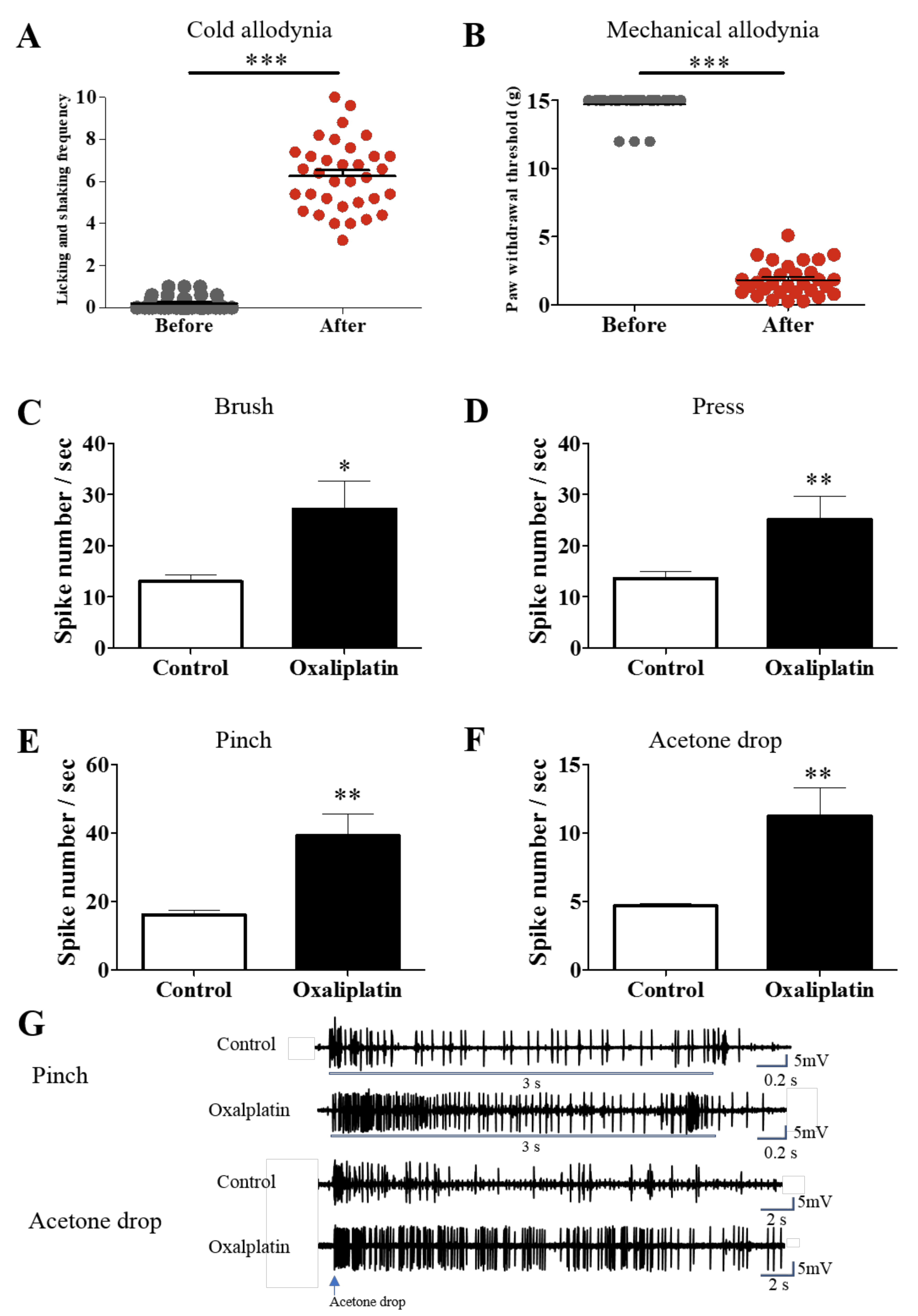 Nutrients 11 00432 g001