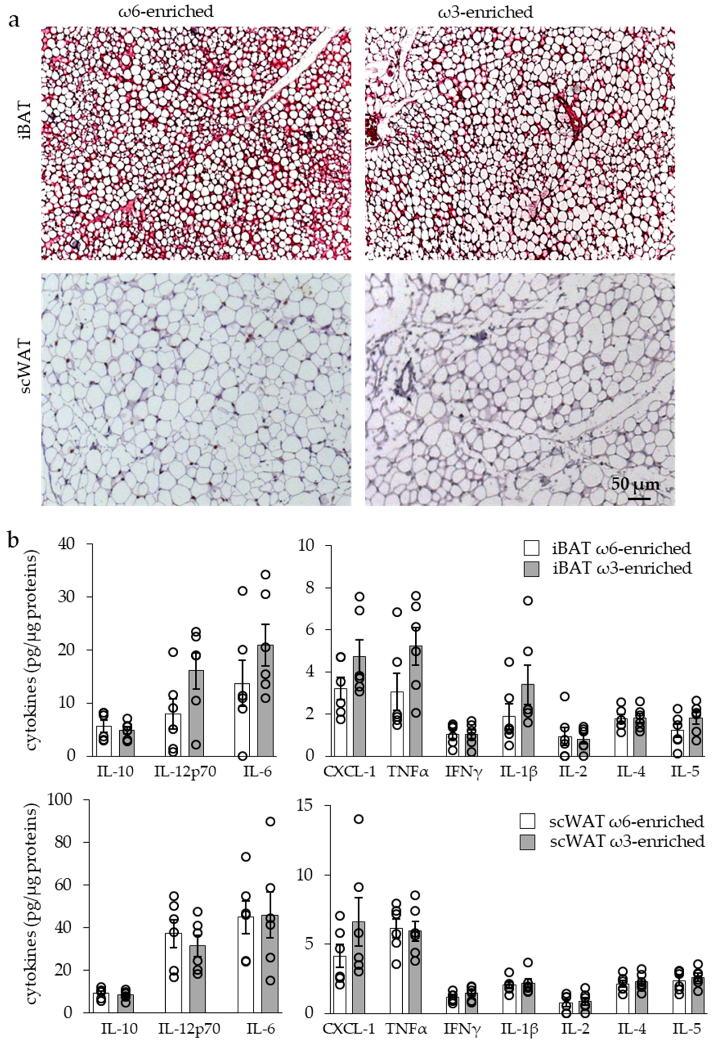 Nutrients 11 00438 g005 Nutrients 11 00438 g005