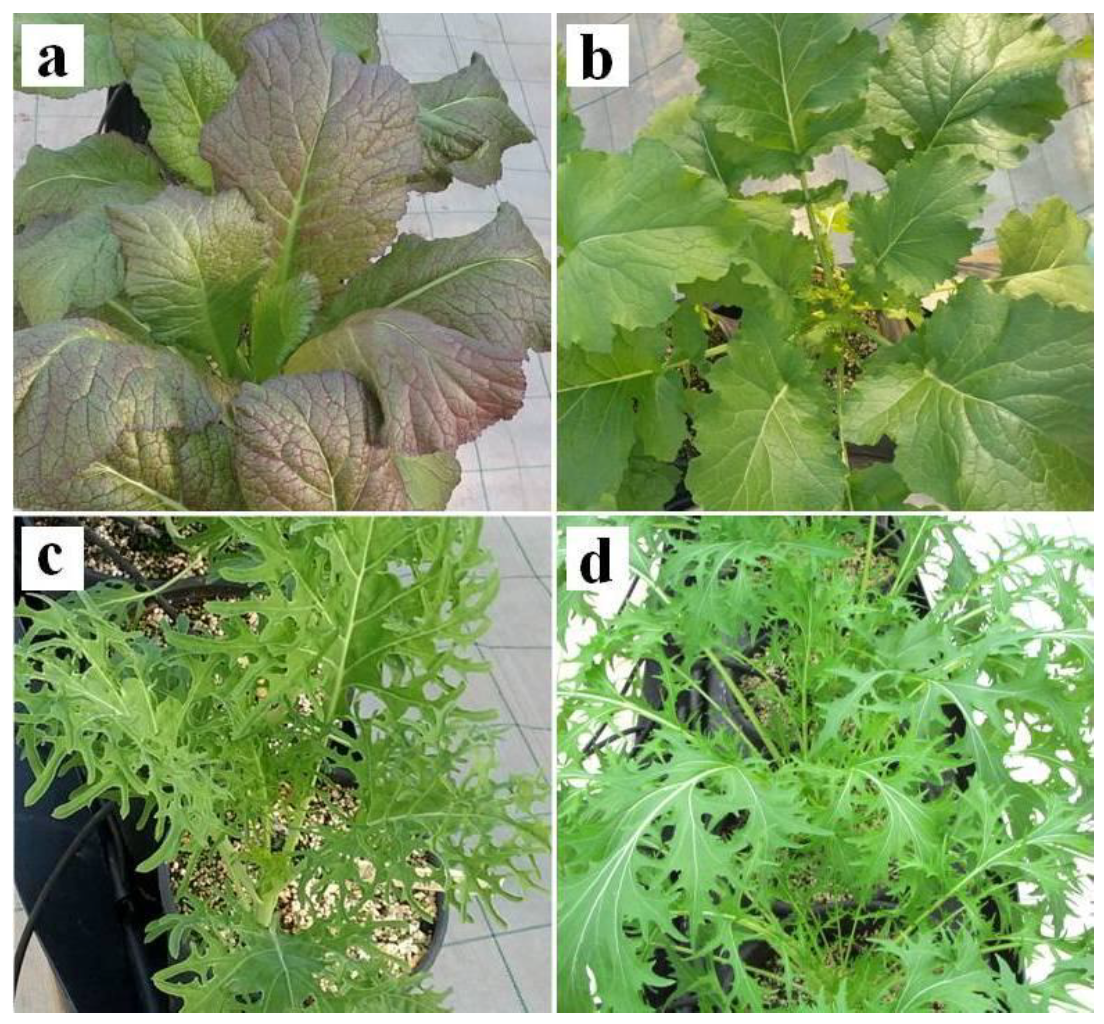 Nutrients 11 00451 g002