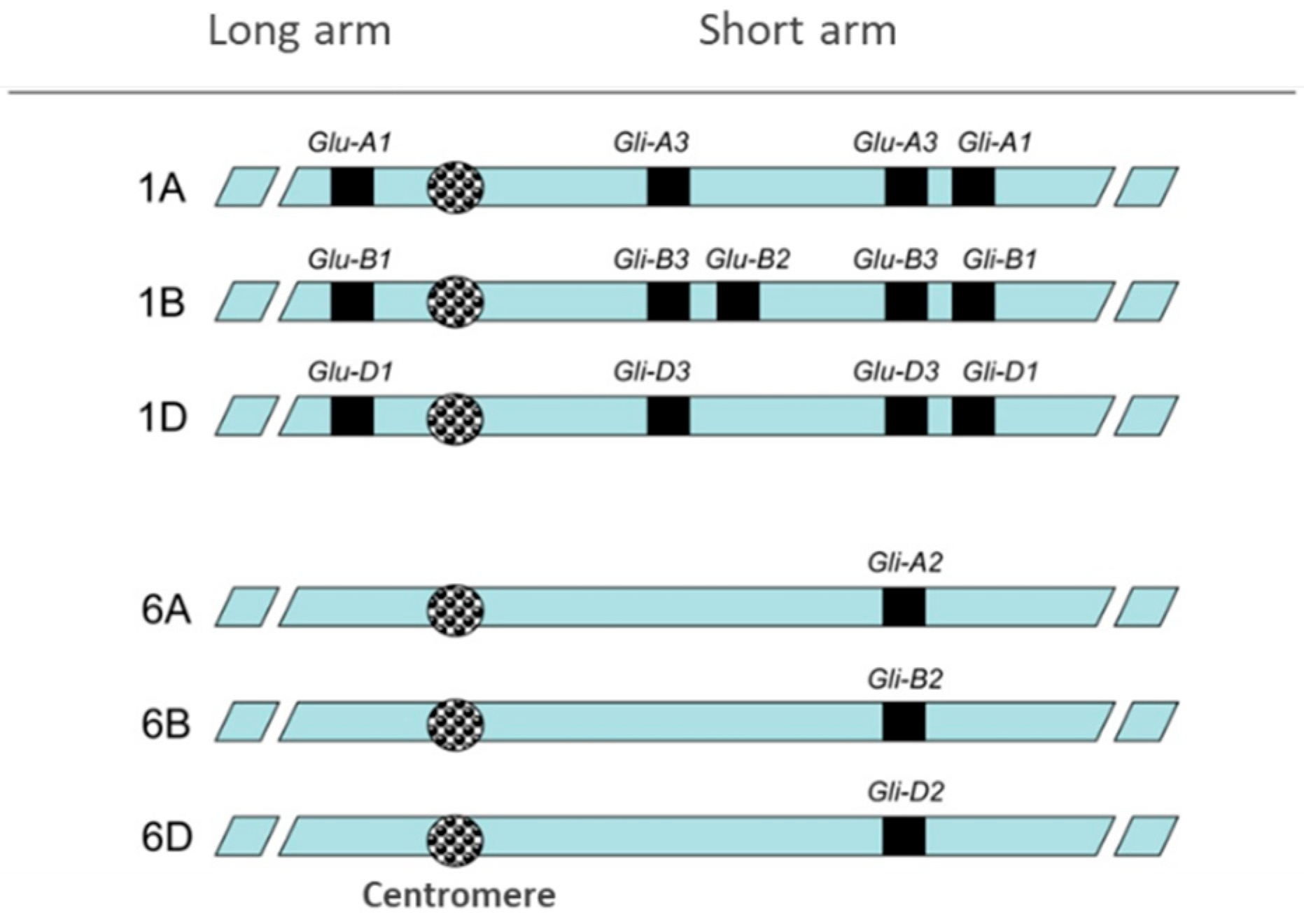 Nutrients 11 00487 g002
