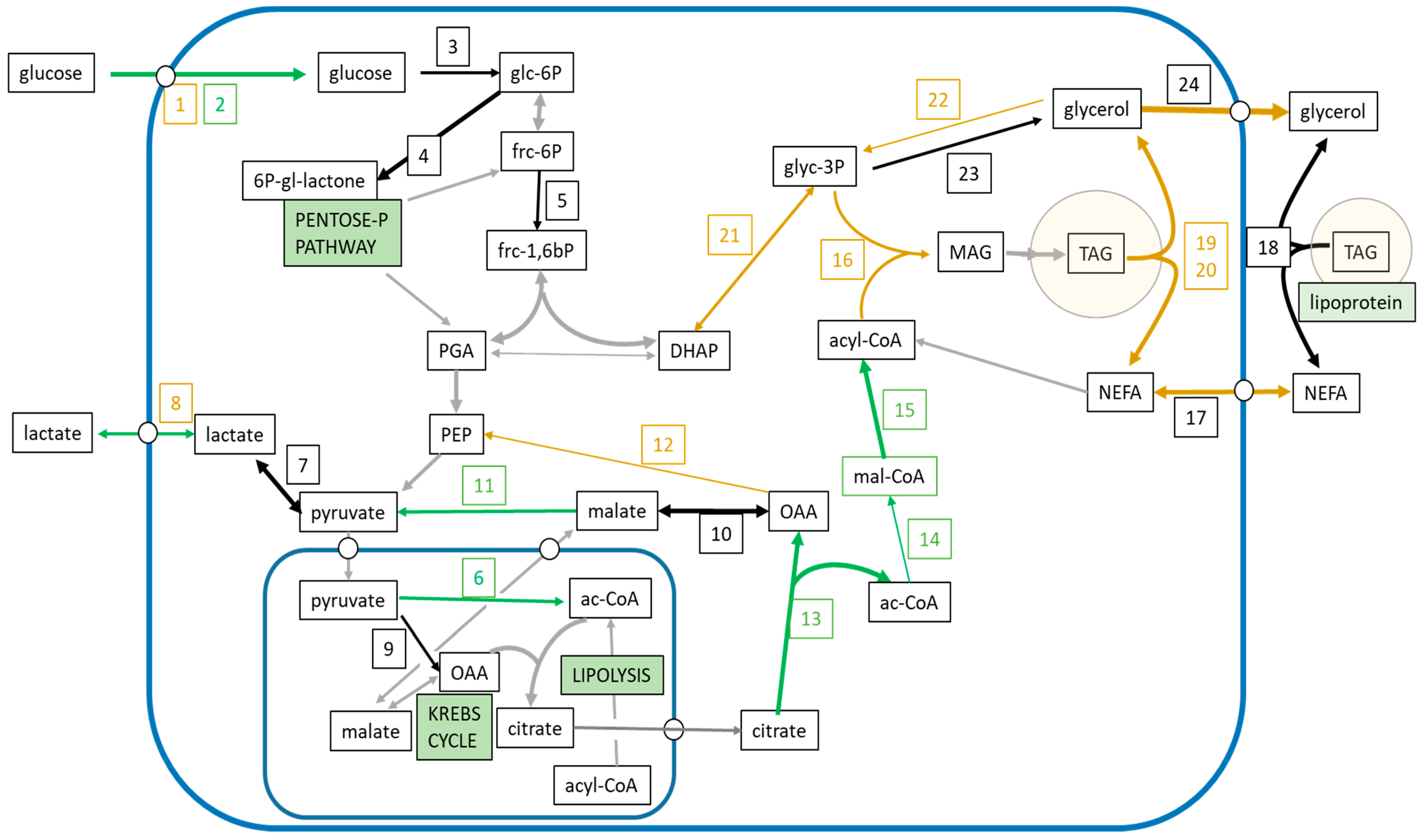 Nutrients 11 00513 g006 Nutrients 11 00513 g006