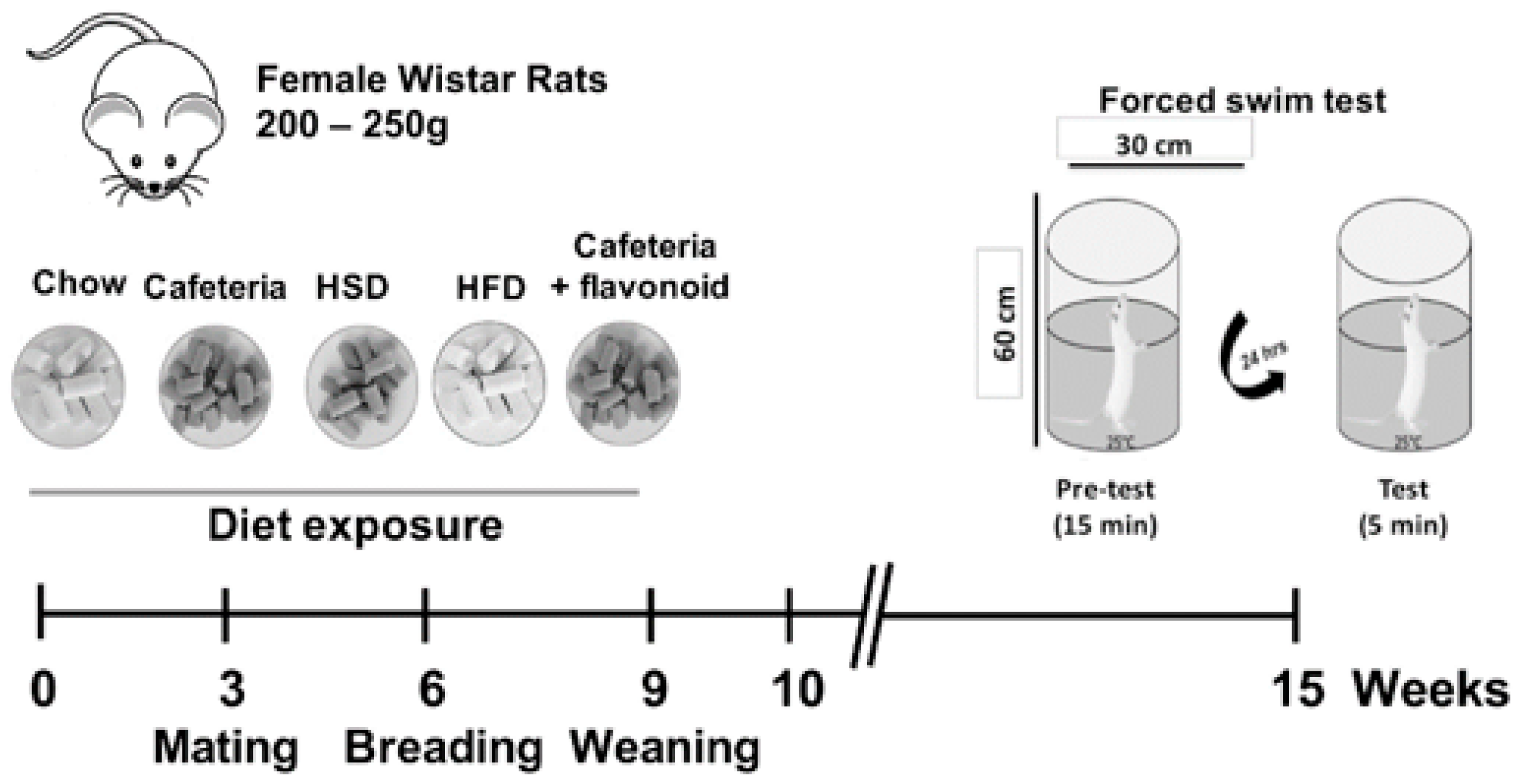 Nutrients 11 00572 g001 Nutrients 11 00572 g001