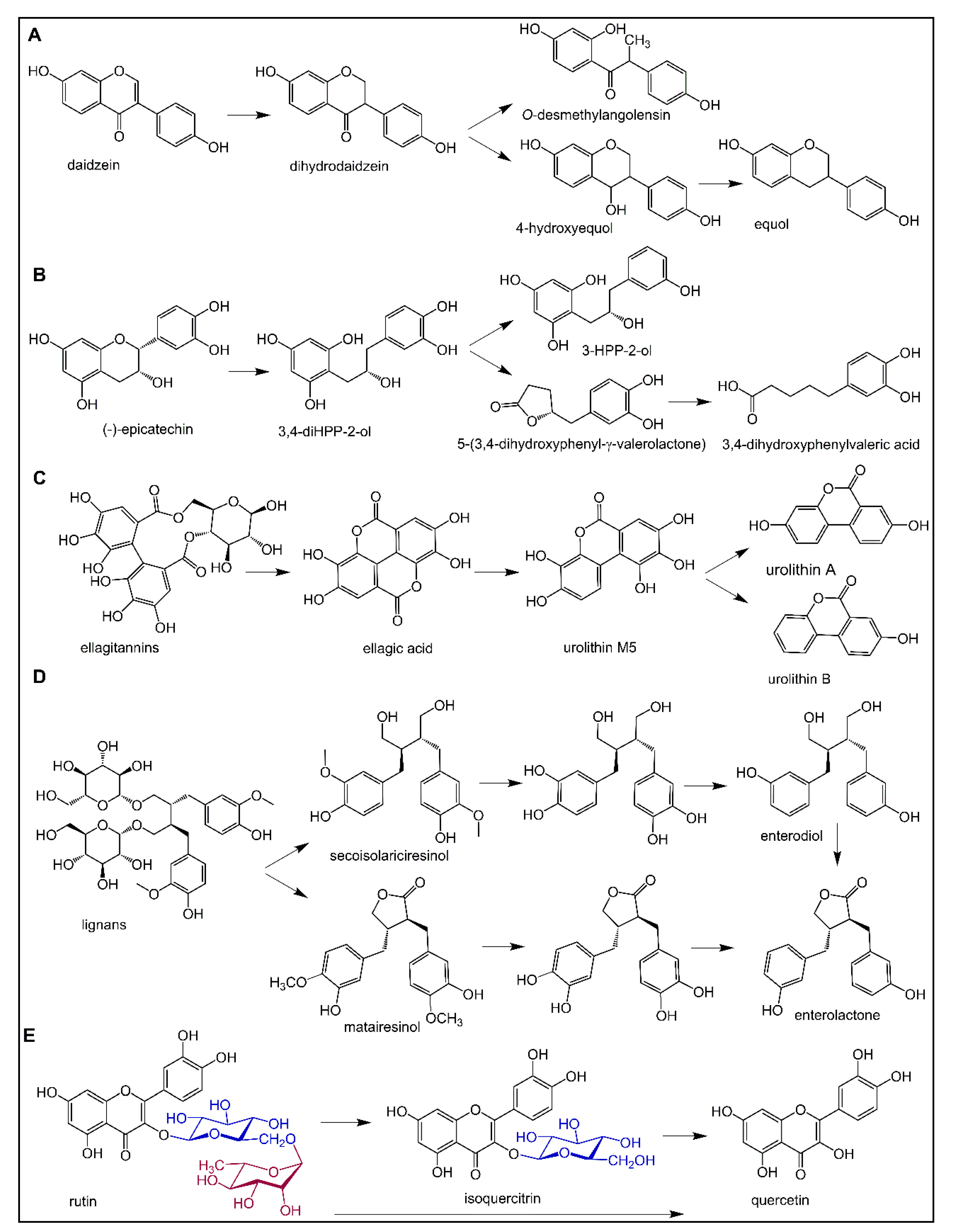 Nutrients 11 00578 g003