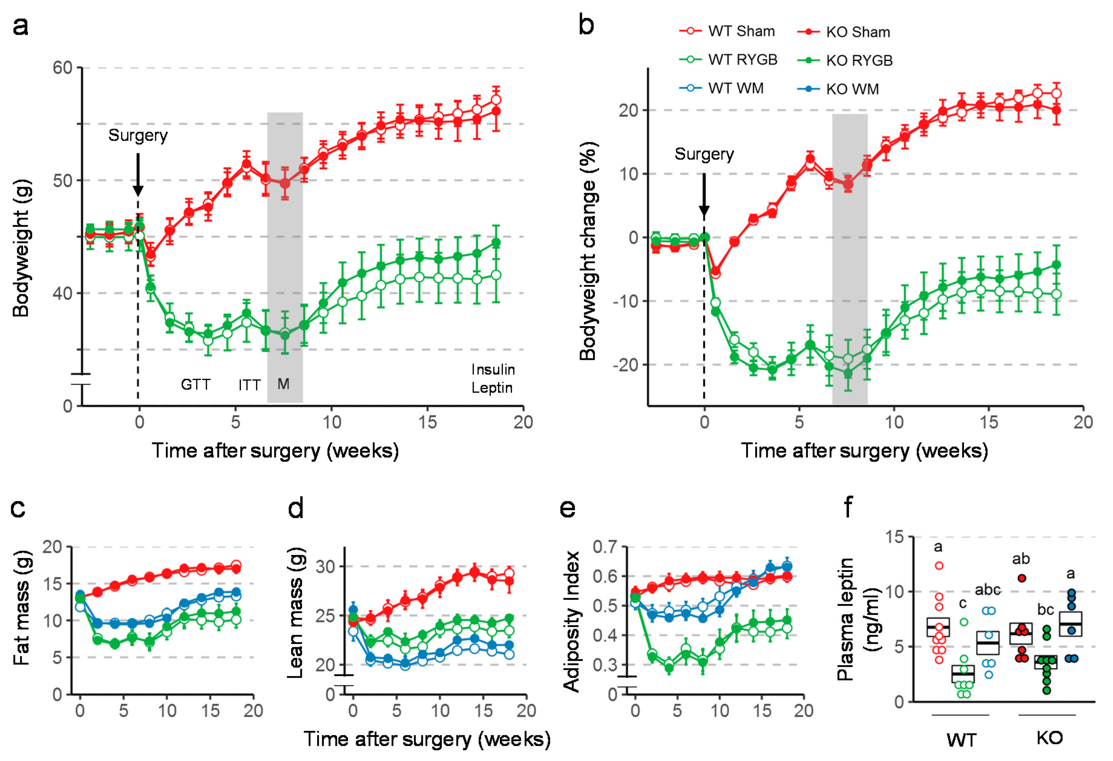 Nutrients 11 00585 g002