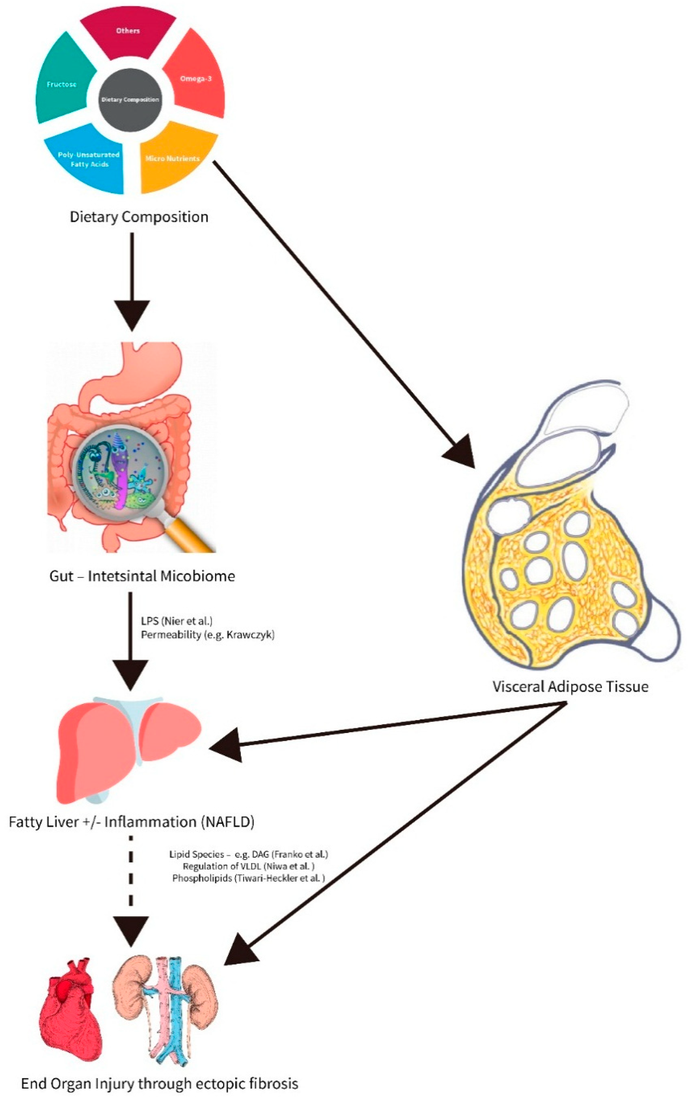 Nutrients 11 00588 g001