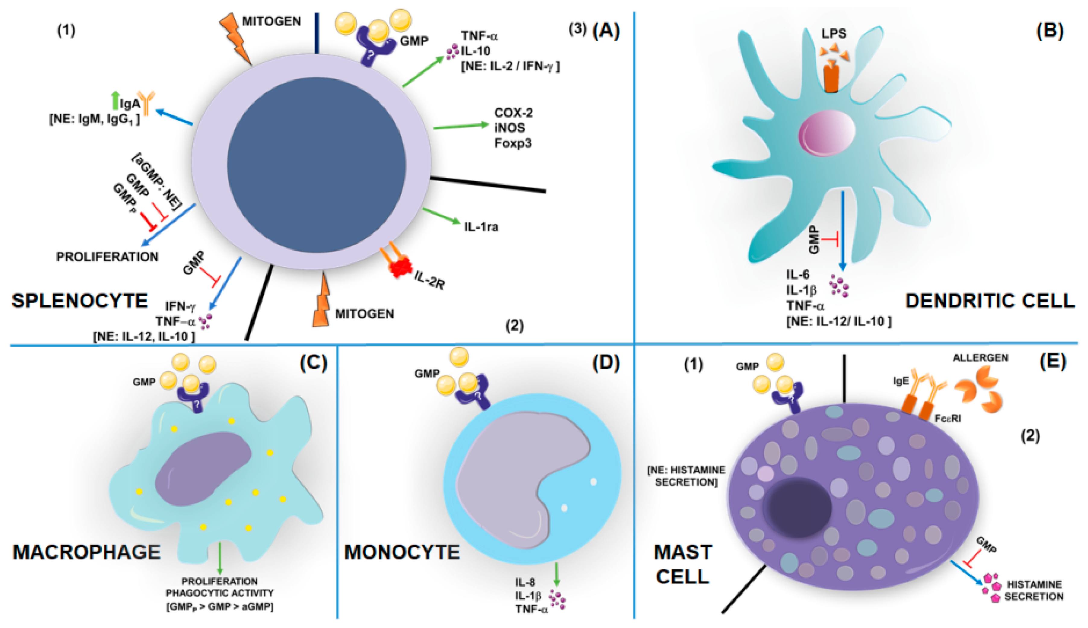 Nutrients 11 00598 g004
