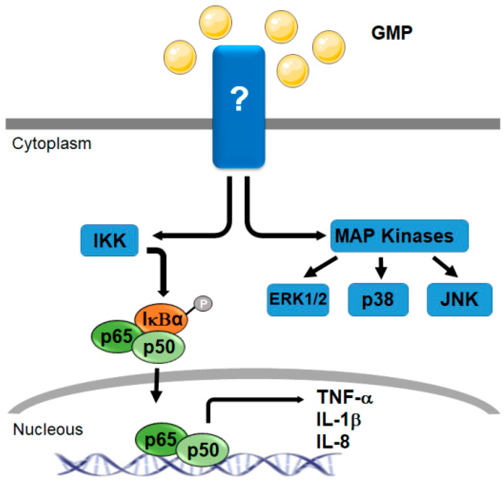 Nutrients 11 00598 g005