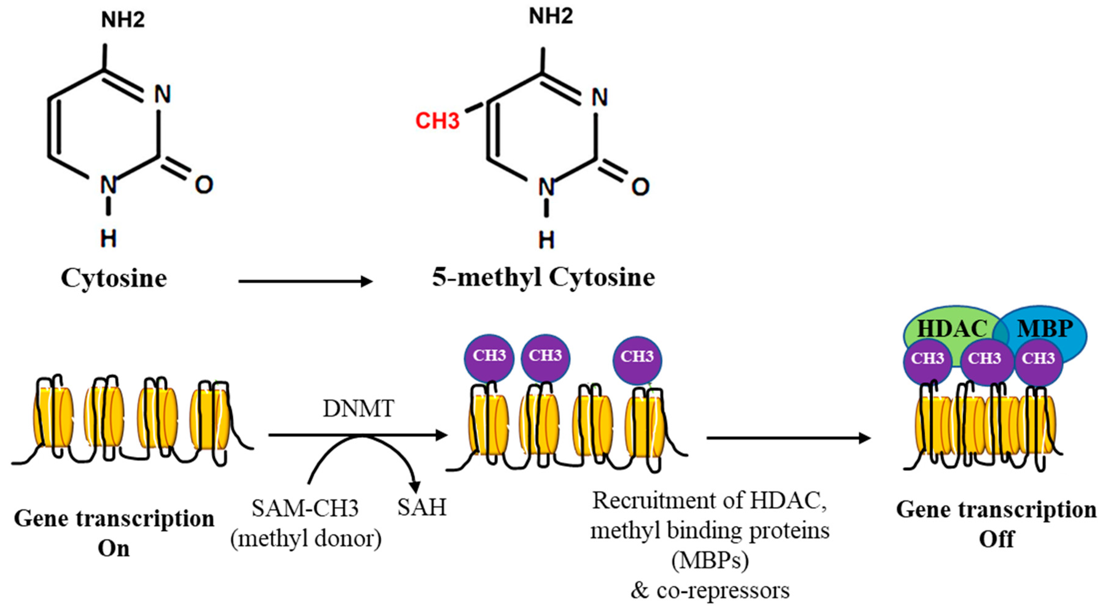 Nutrients 11 00608 g002