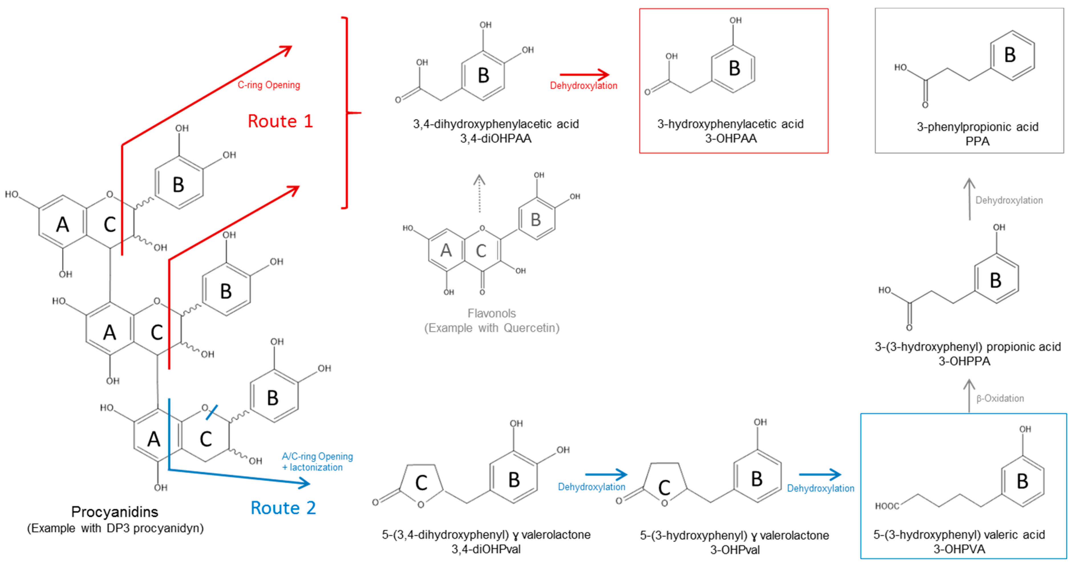 Nutrients 11 00664 g009