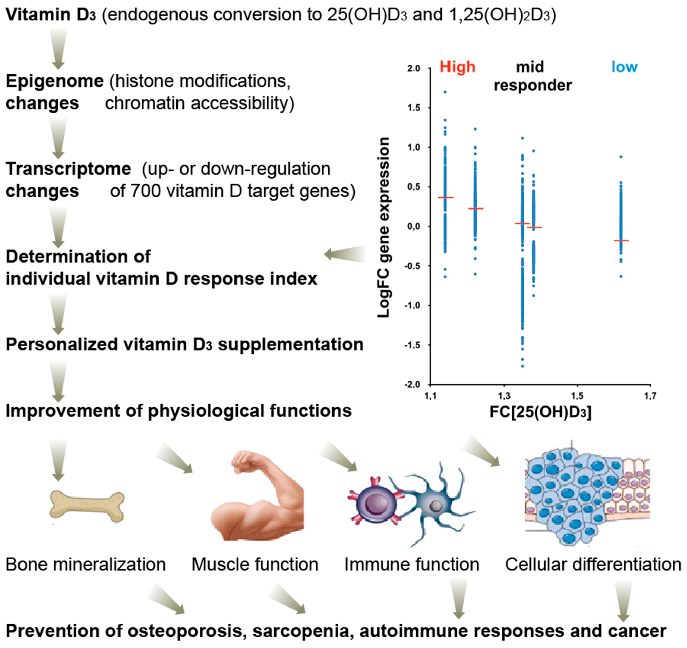 Nutrients 11 00676 g004