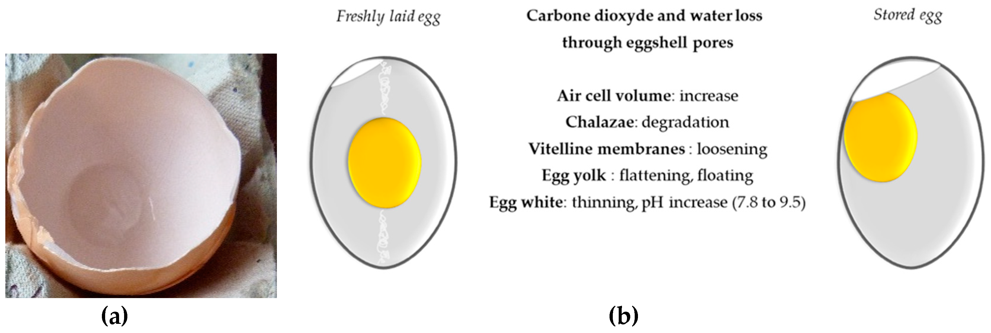 Nutrients 11 00684 g003