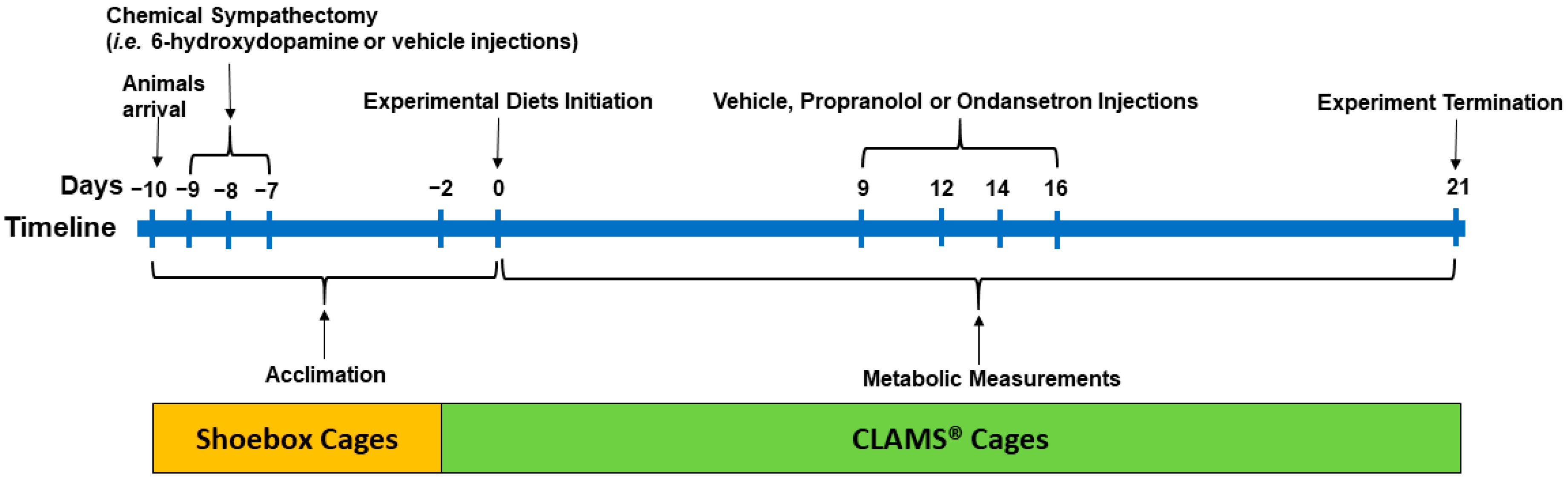 Nutrients 11 00707 g001 Nutrients 11 00707 g001