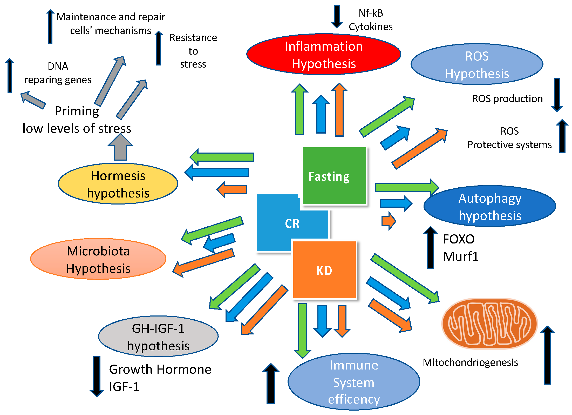 Nutrients 11 00719 g002