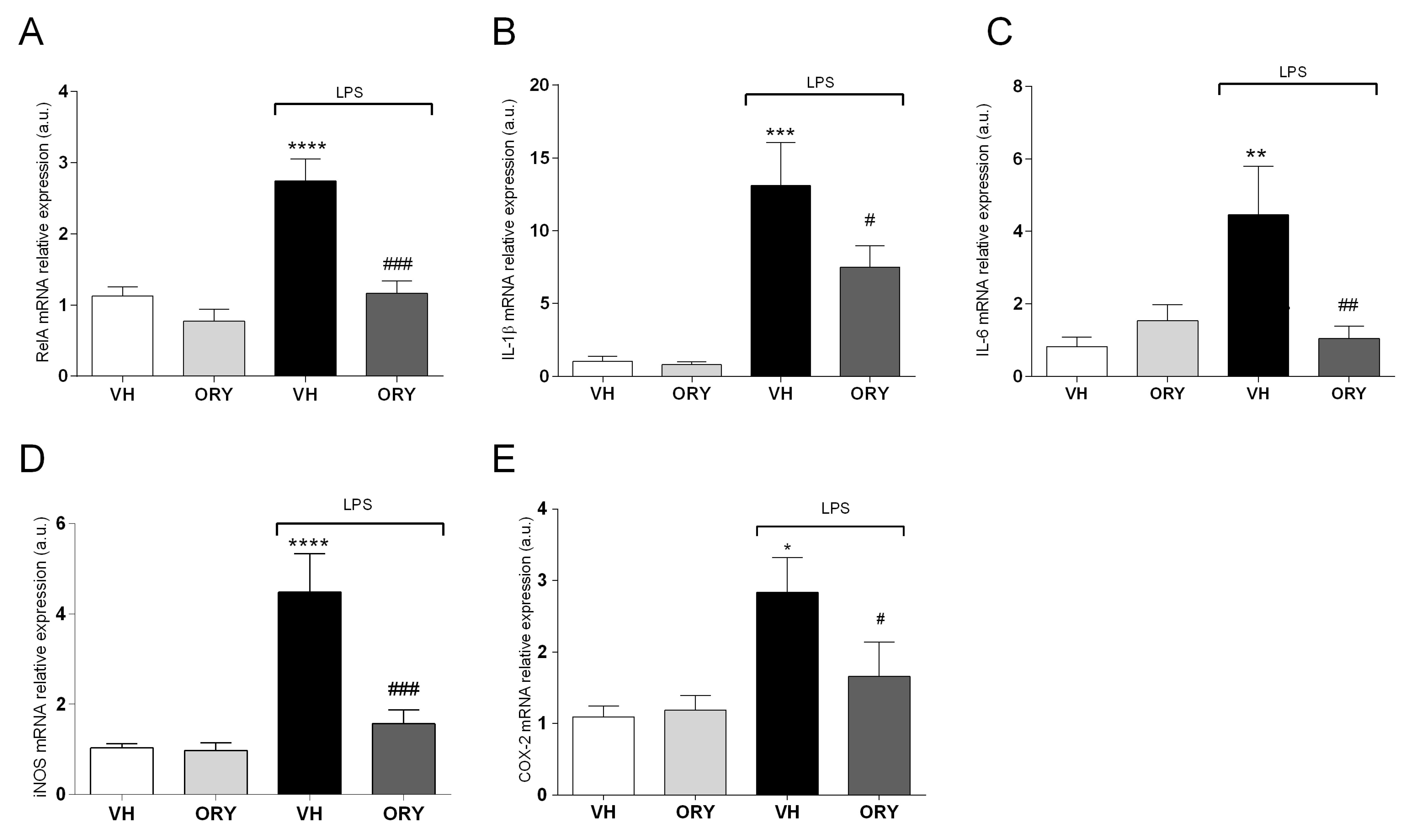 Nutrients 11 00728 g003