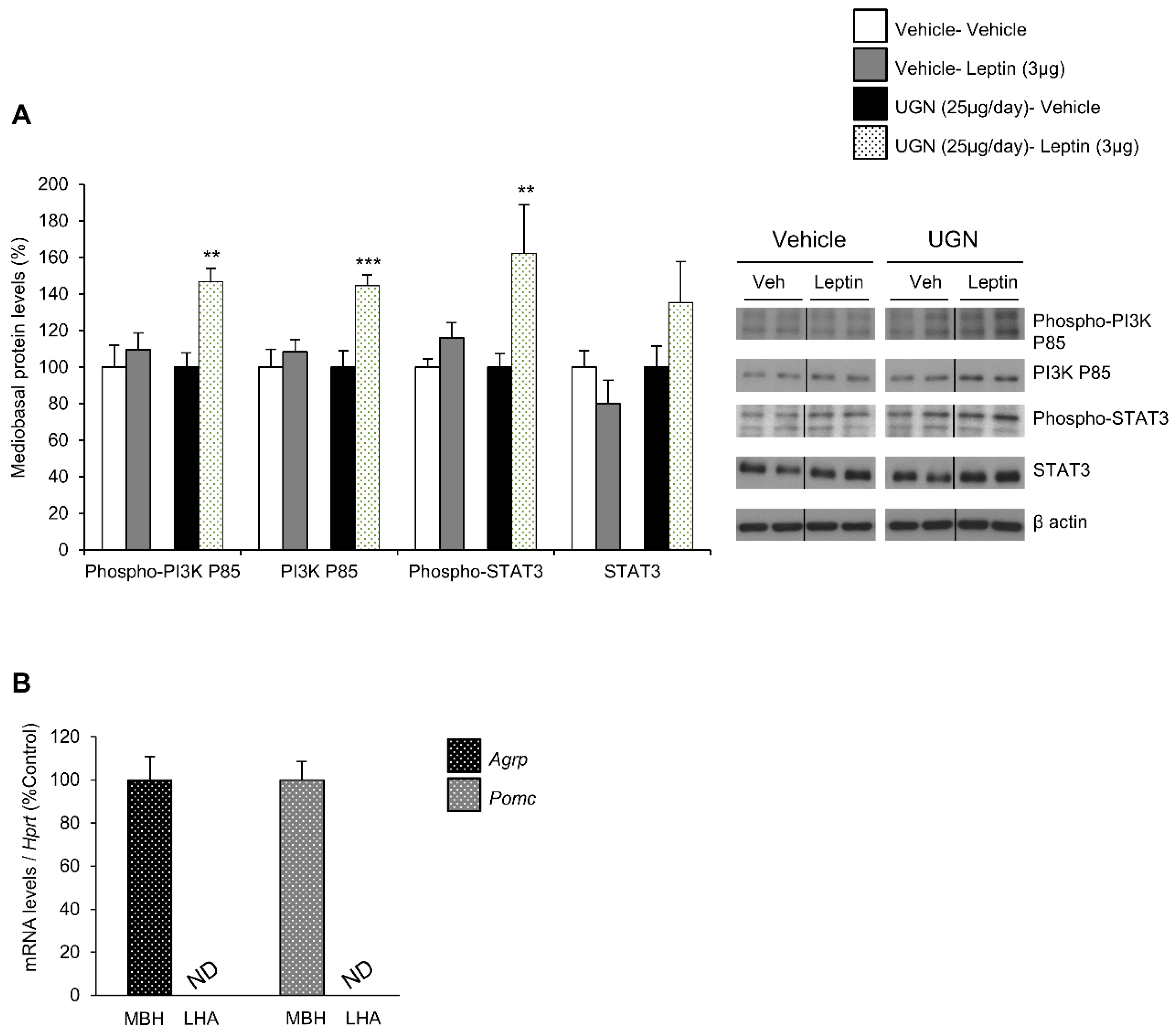 Nutrients 11 00752 g002 Nutrients 11 00752 g002