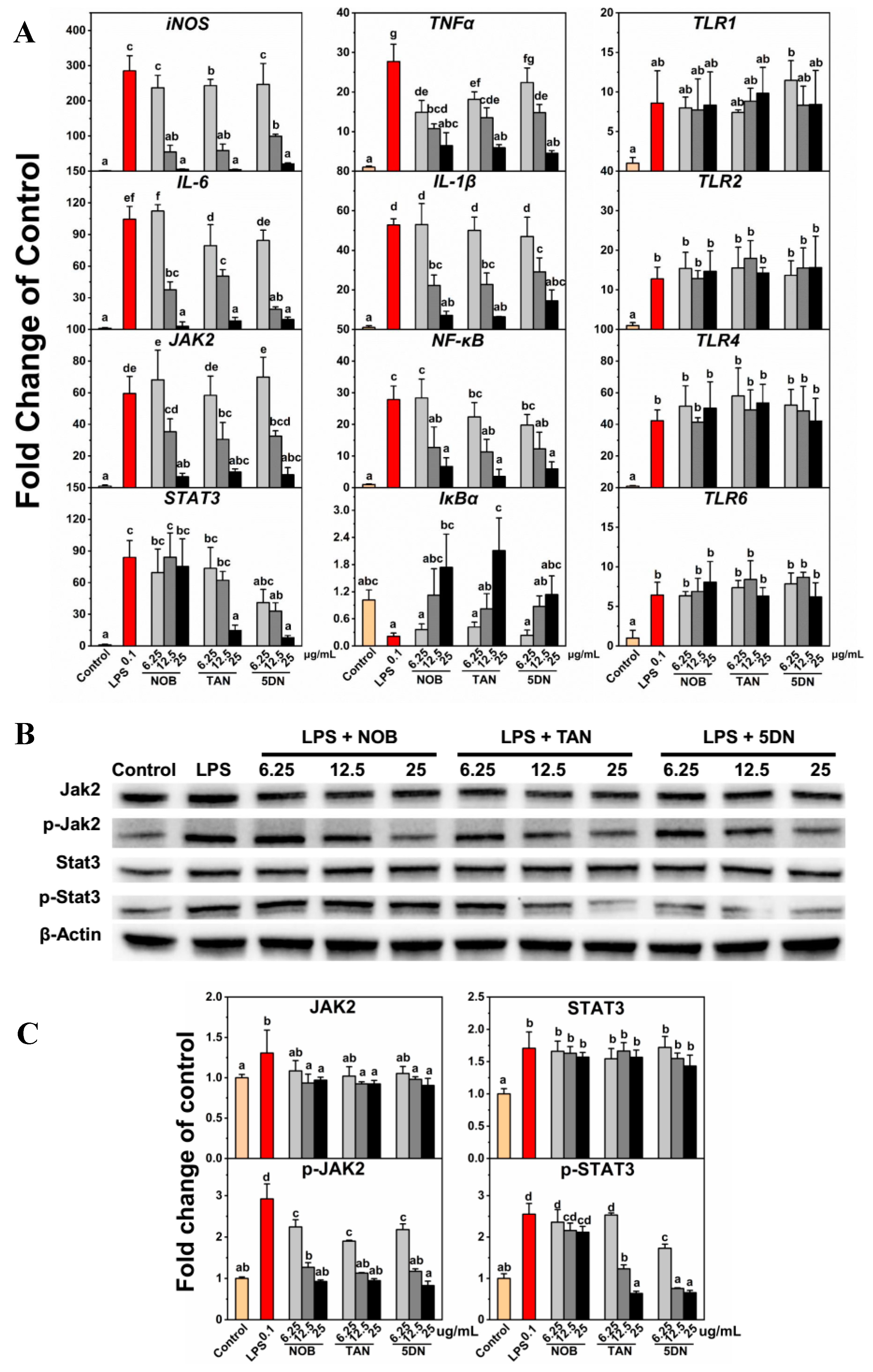 Nutrients 11 00791 g004