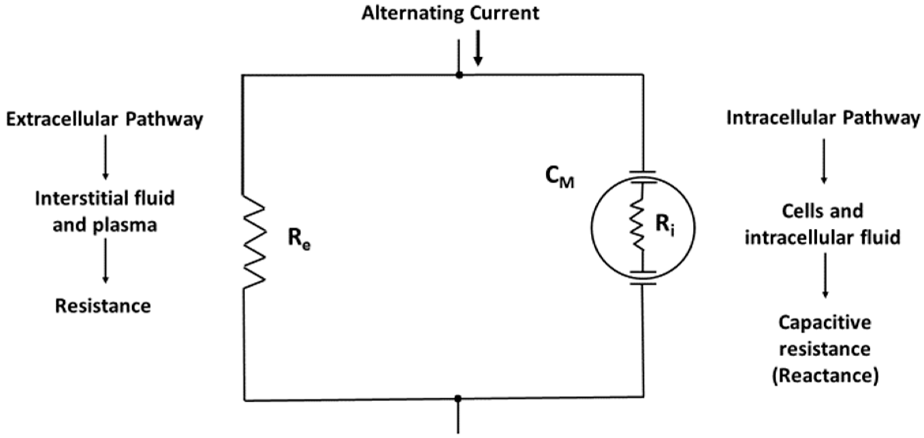 Nutrients 11 00809 g001