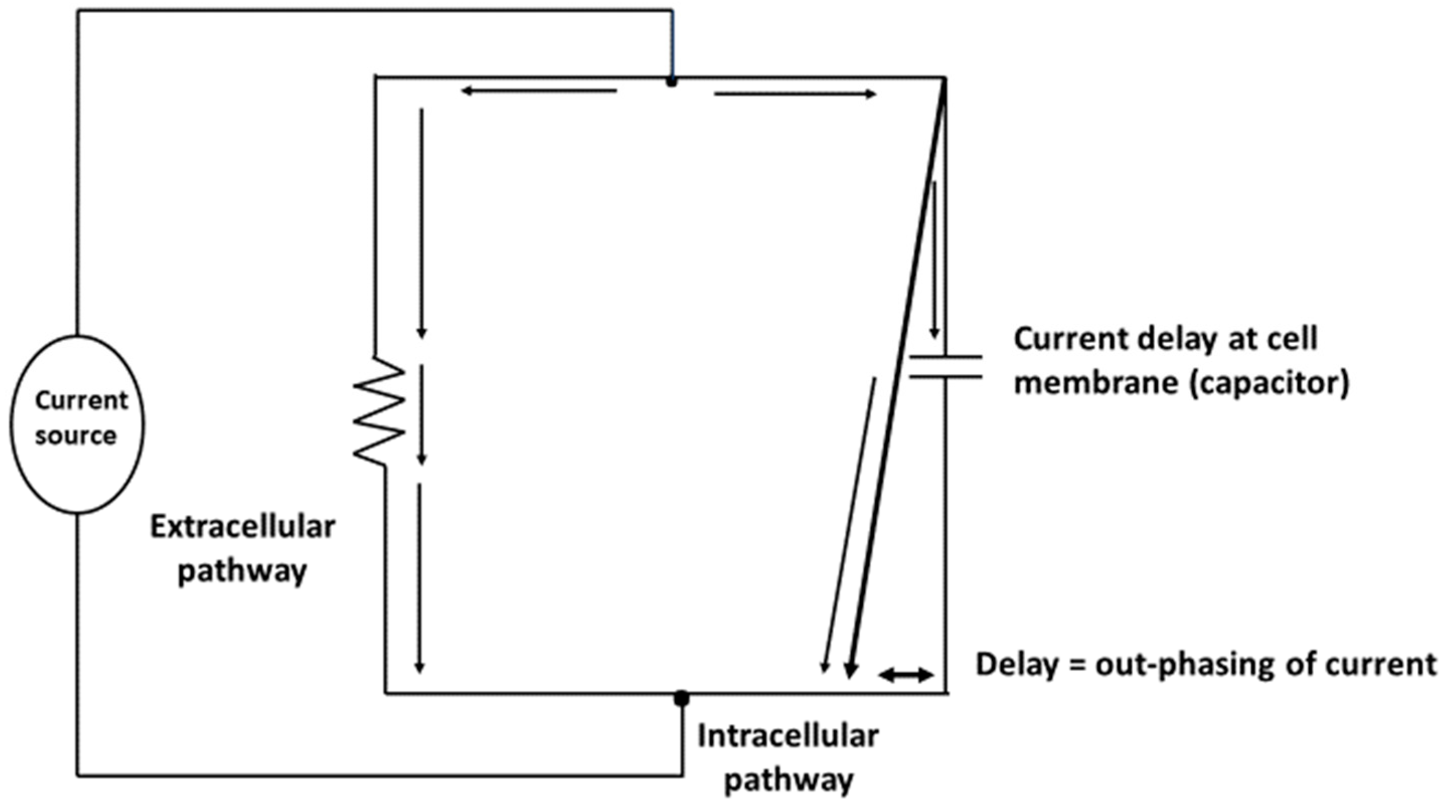 Nutrients 11 00809 g002