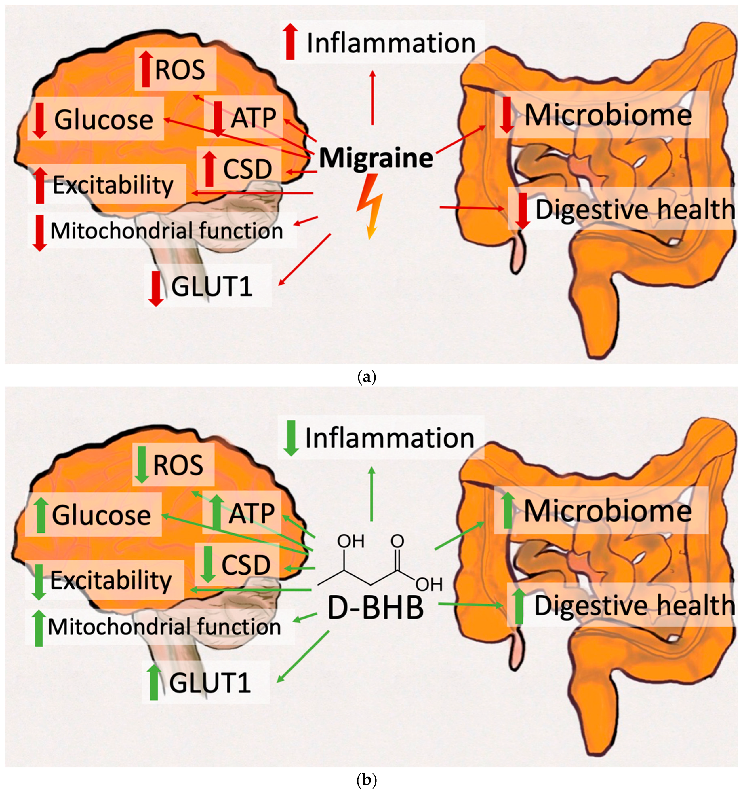 Nutrients 11 00811 g001