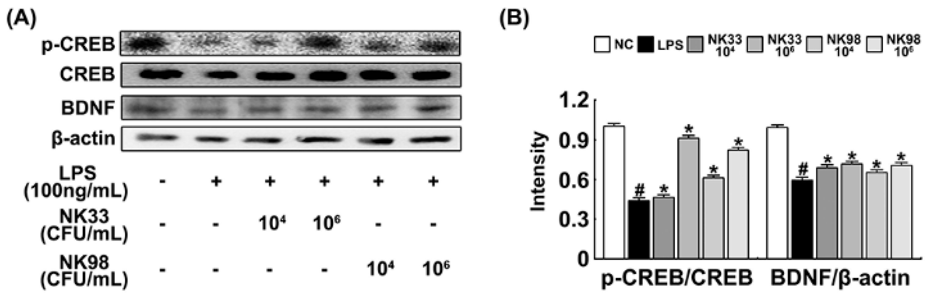 Nutrients 11 00819 g006 Nutrients 11 00819 g006