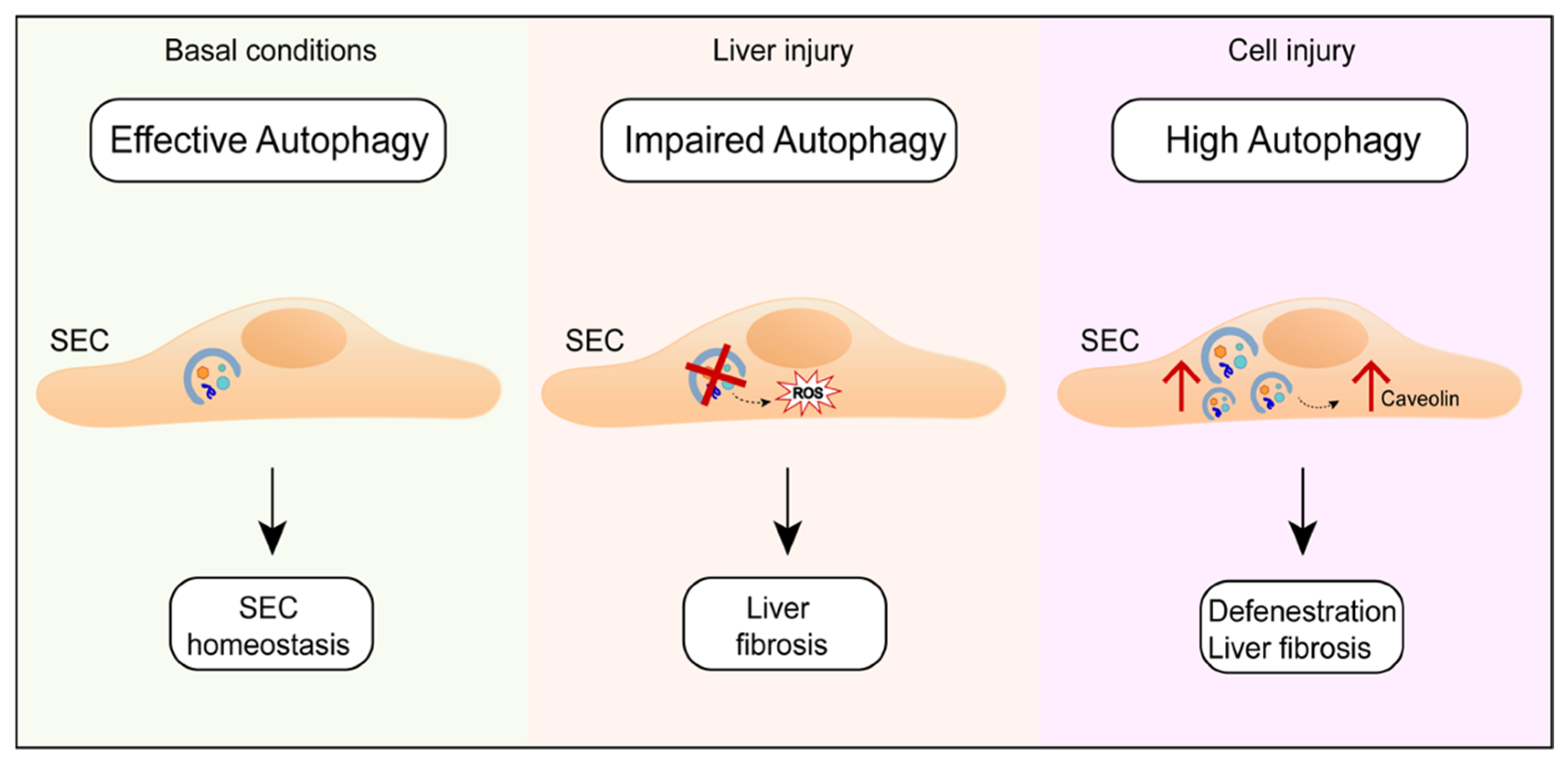 Nutrients 11 00827 g006