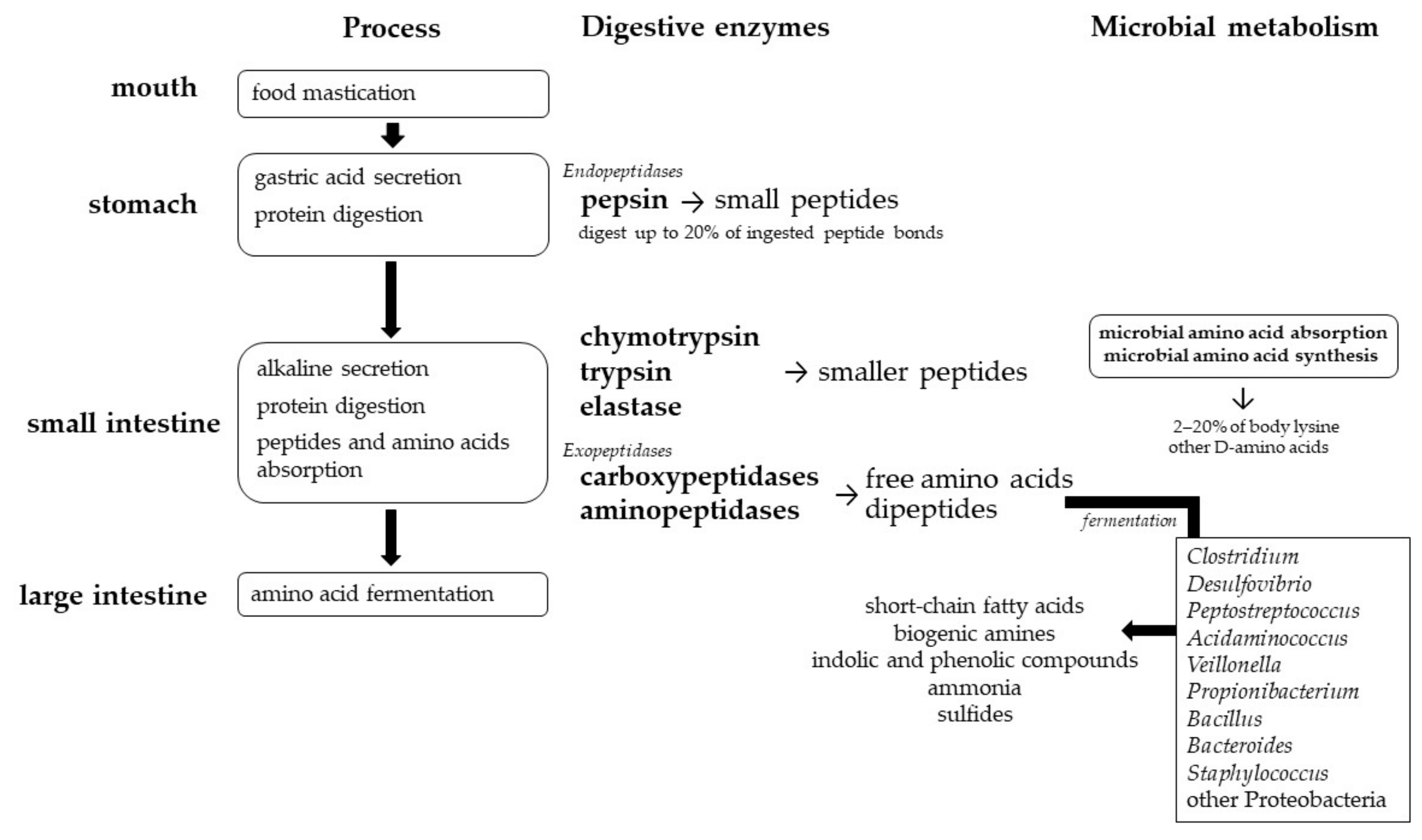 Nutrients 11 00829 g002
