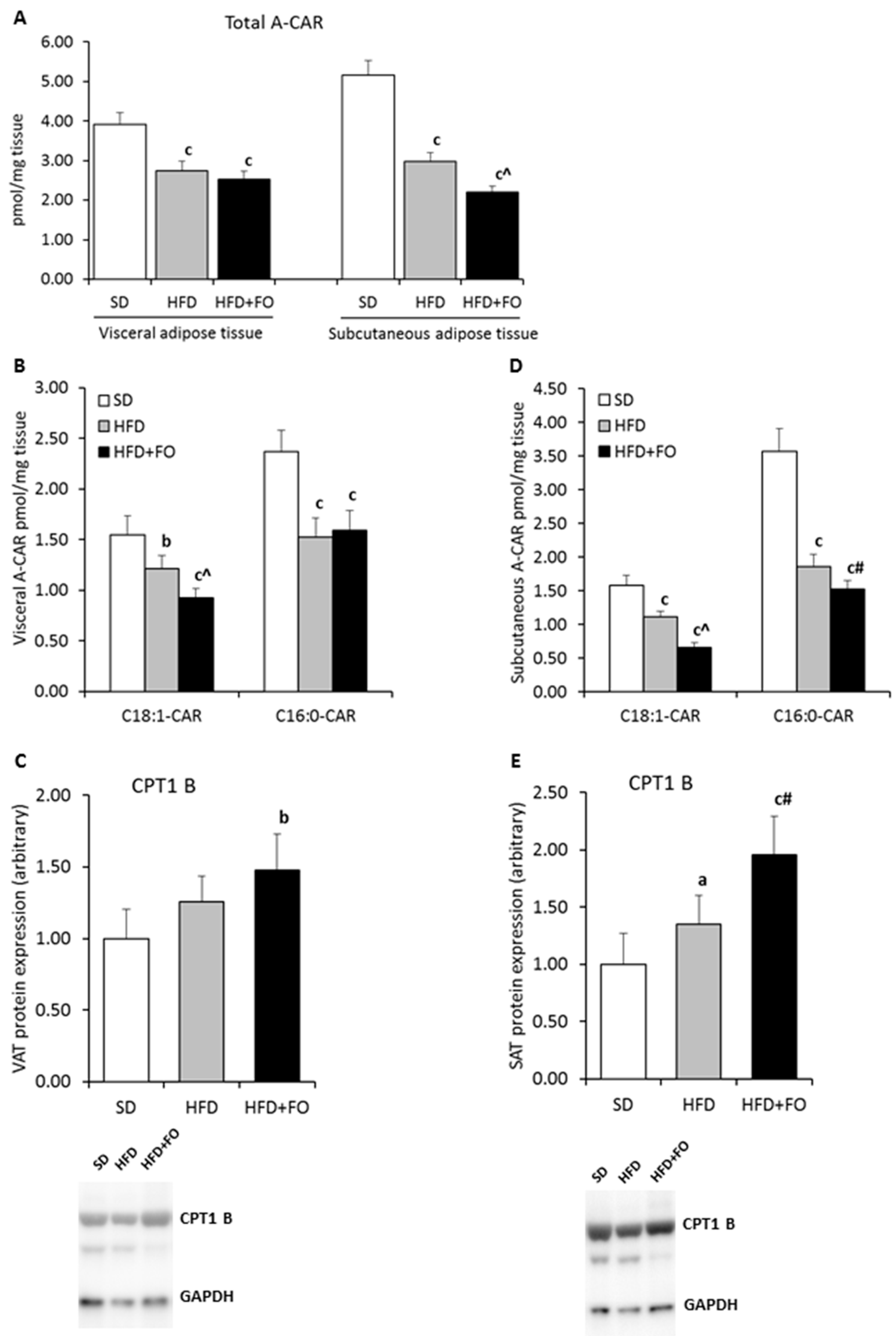 Nutrients 11 00835 g001