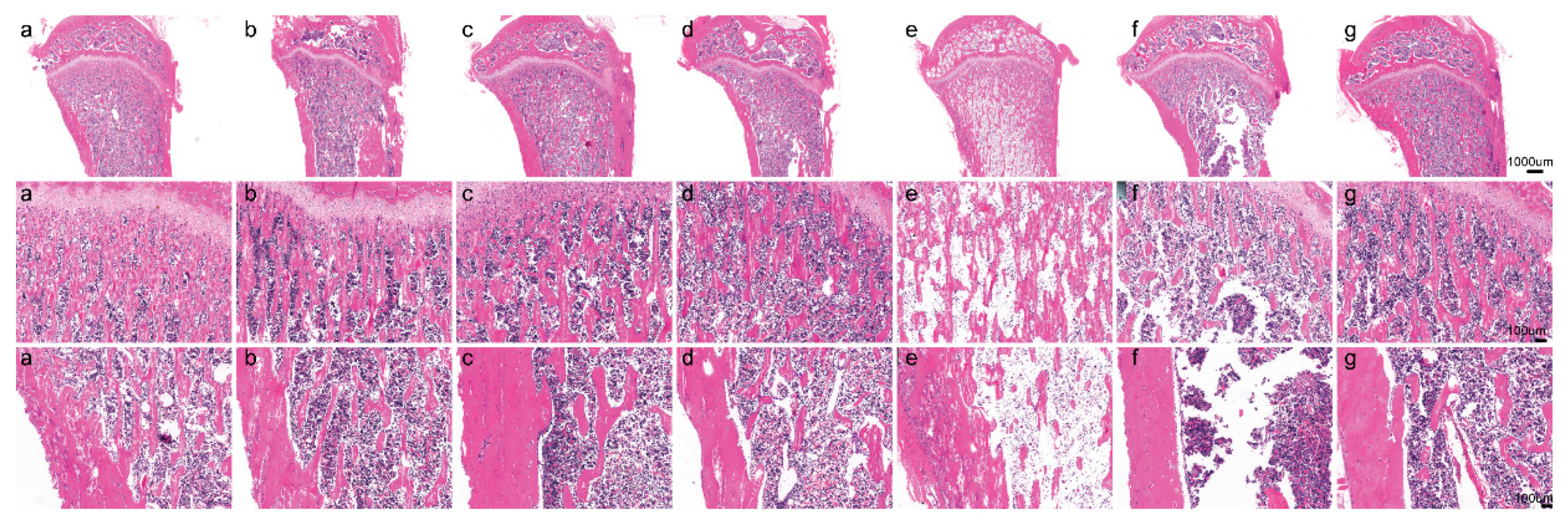 Nutrients 11 00849 g002