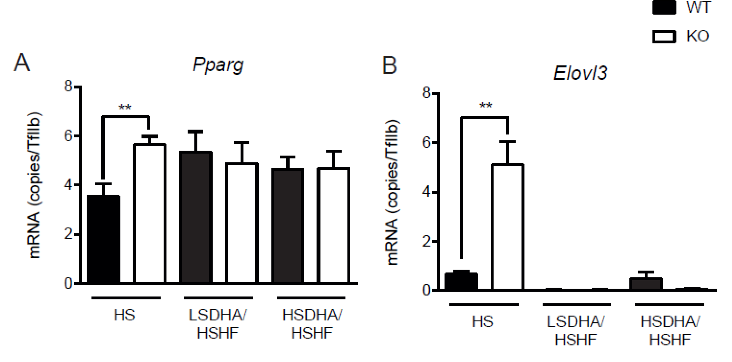 Nutrients 11 00852 g007a