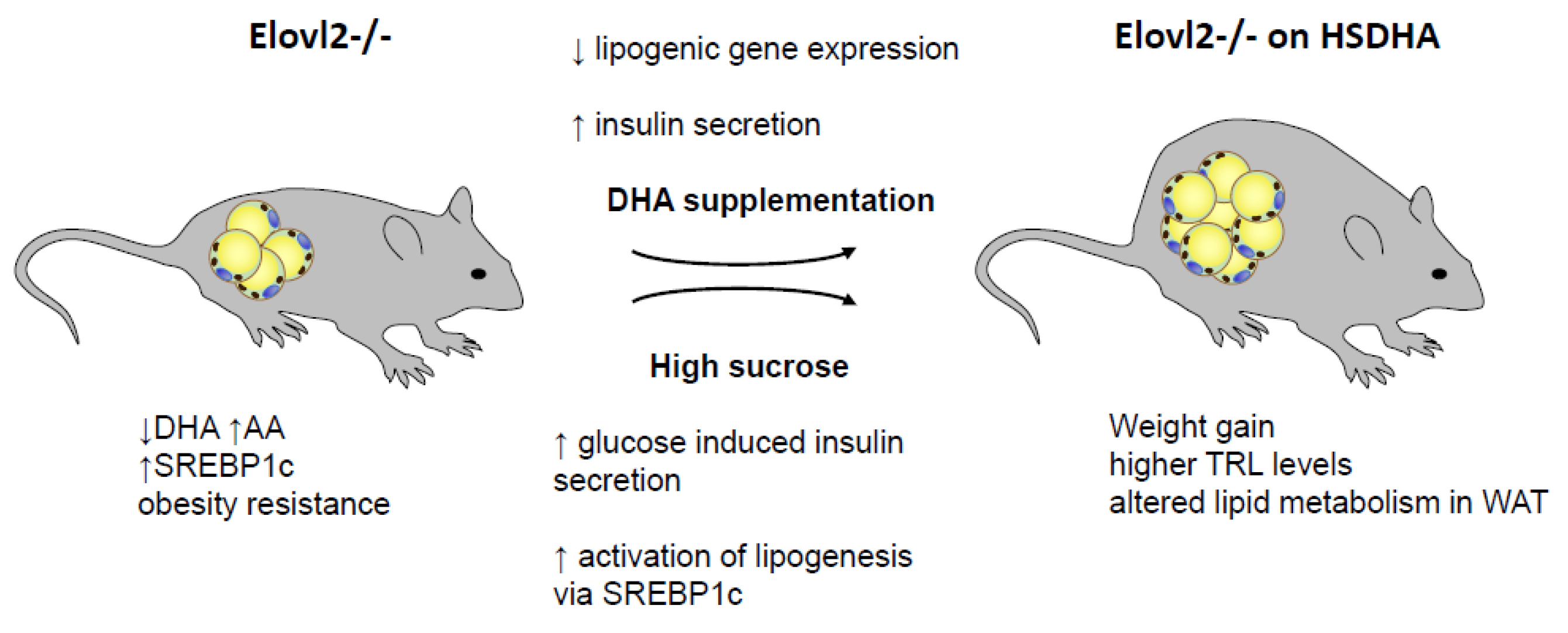 Nutrients 11 00852 g009