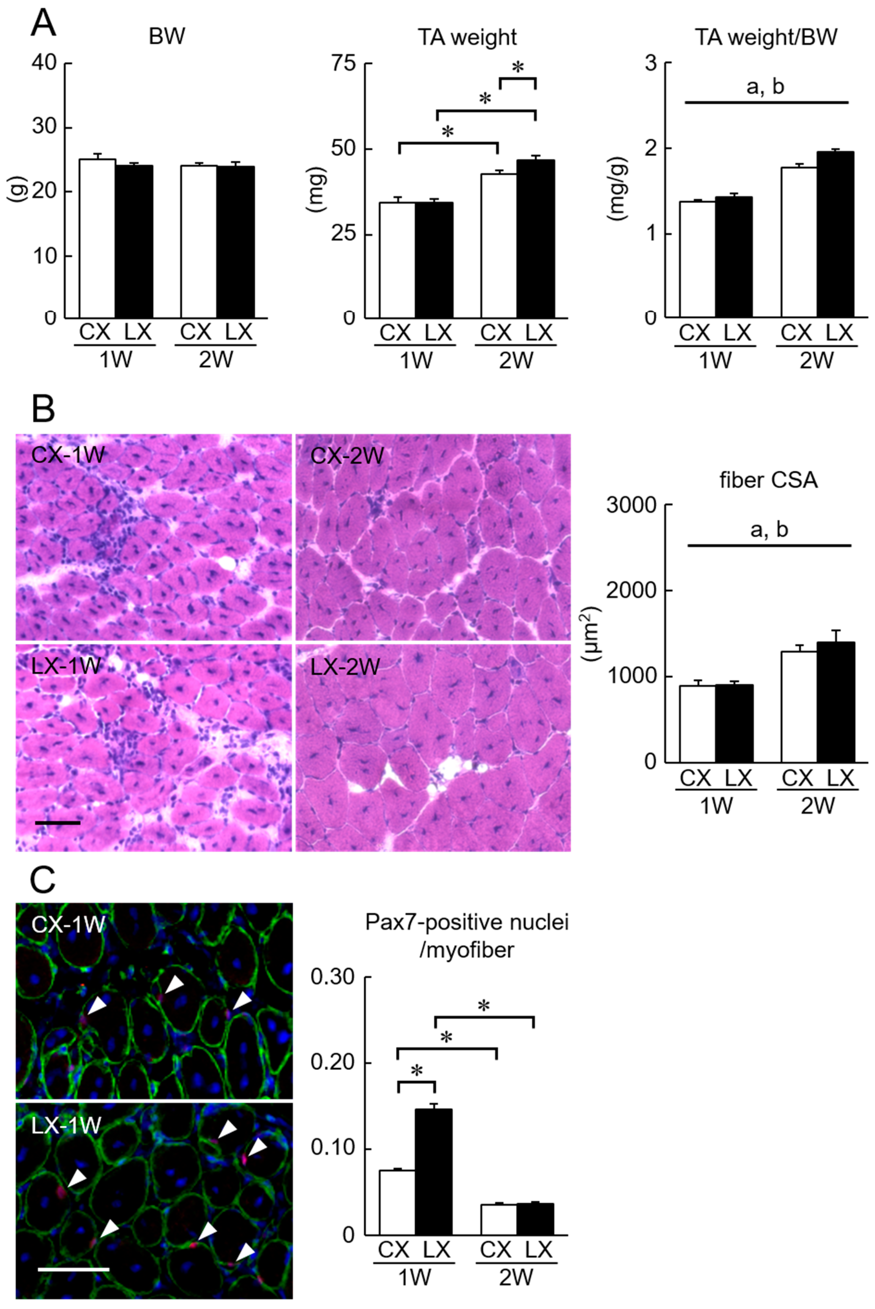 Nutrients 11 00869 g002