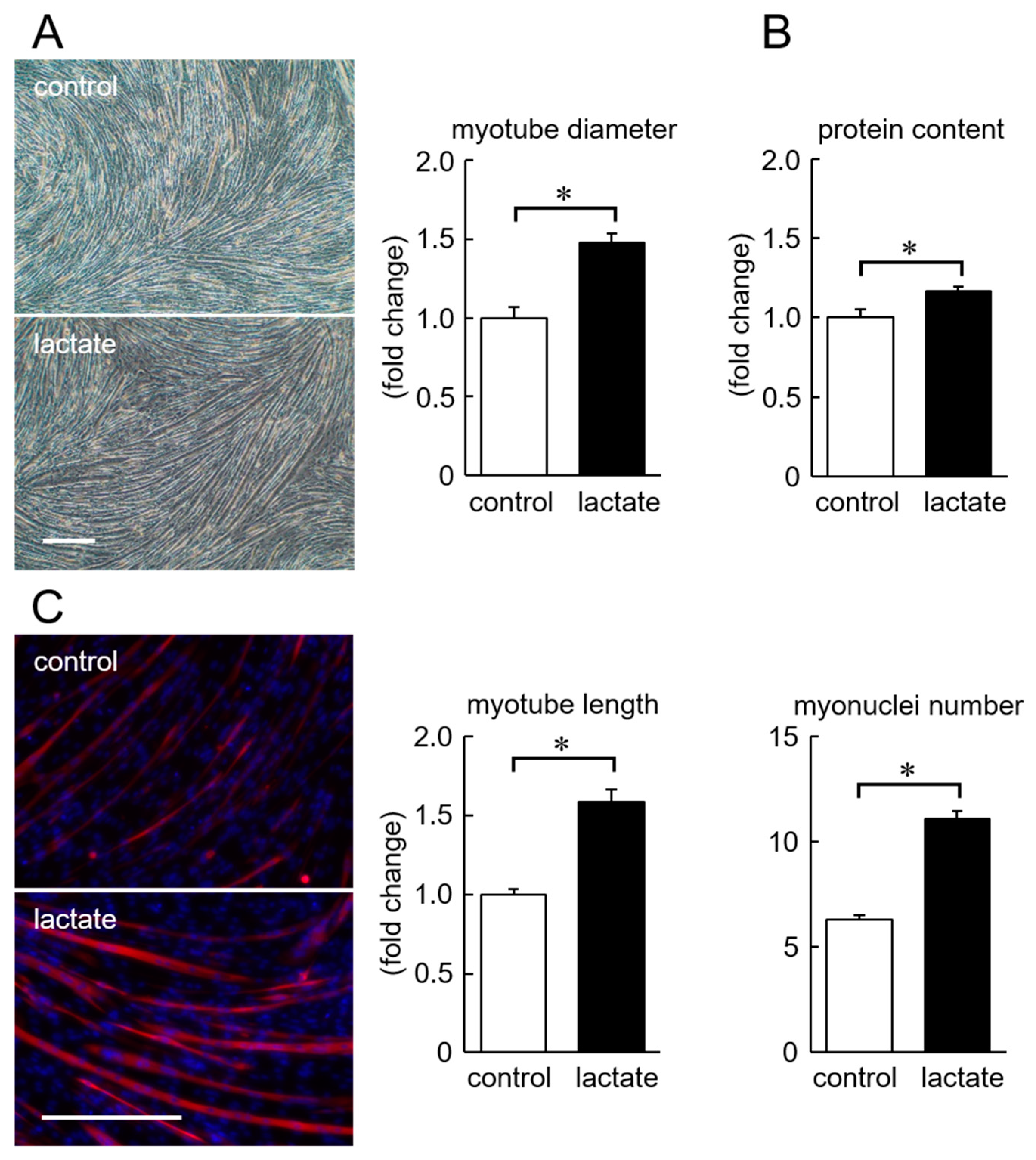 Nutrients 11 00869 g003