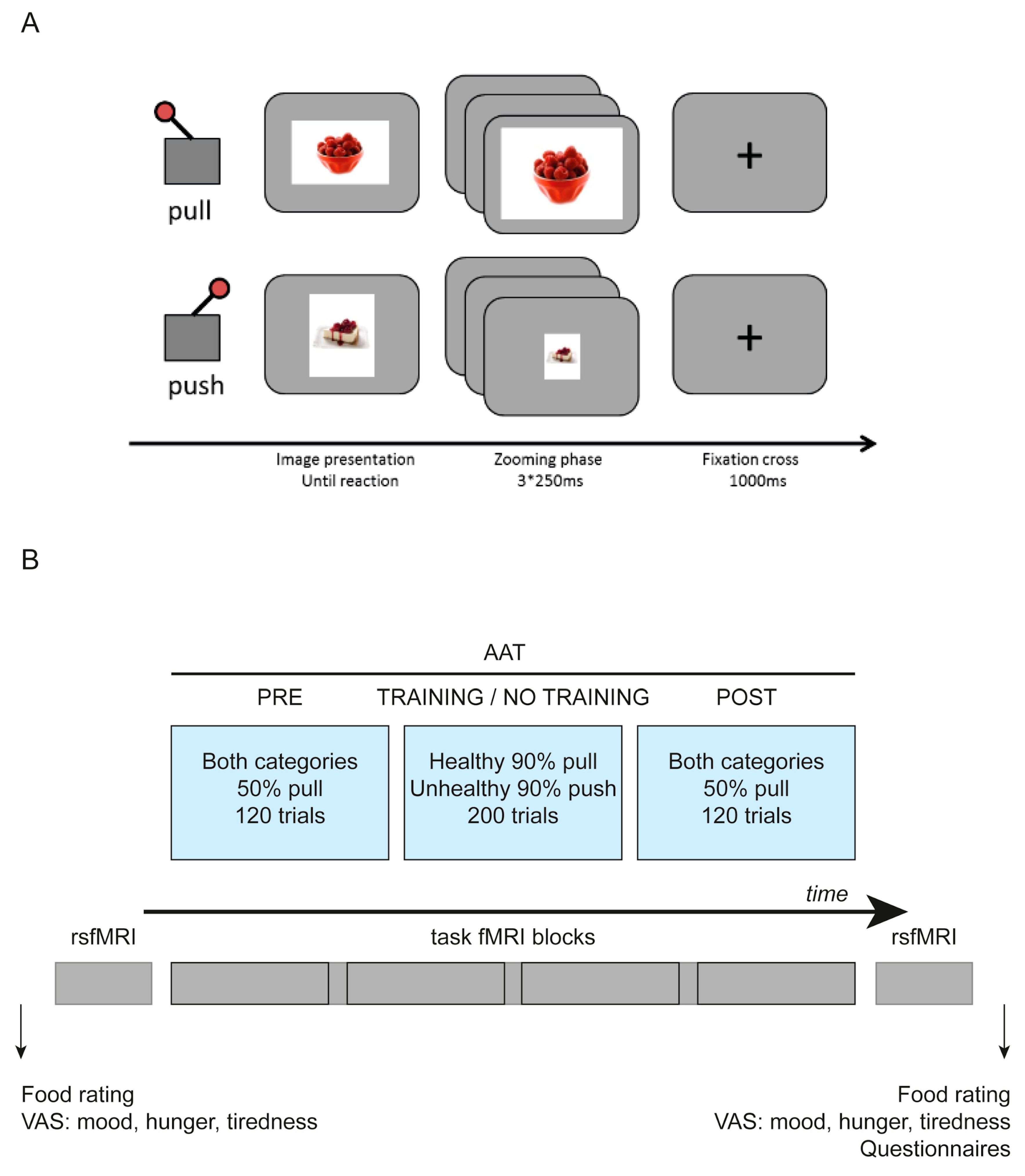 Nutrients 11 00874 g001 Nutrients 11 00874 g001