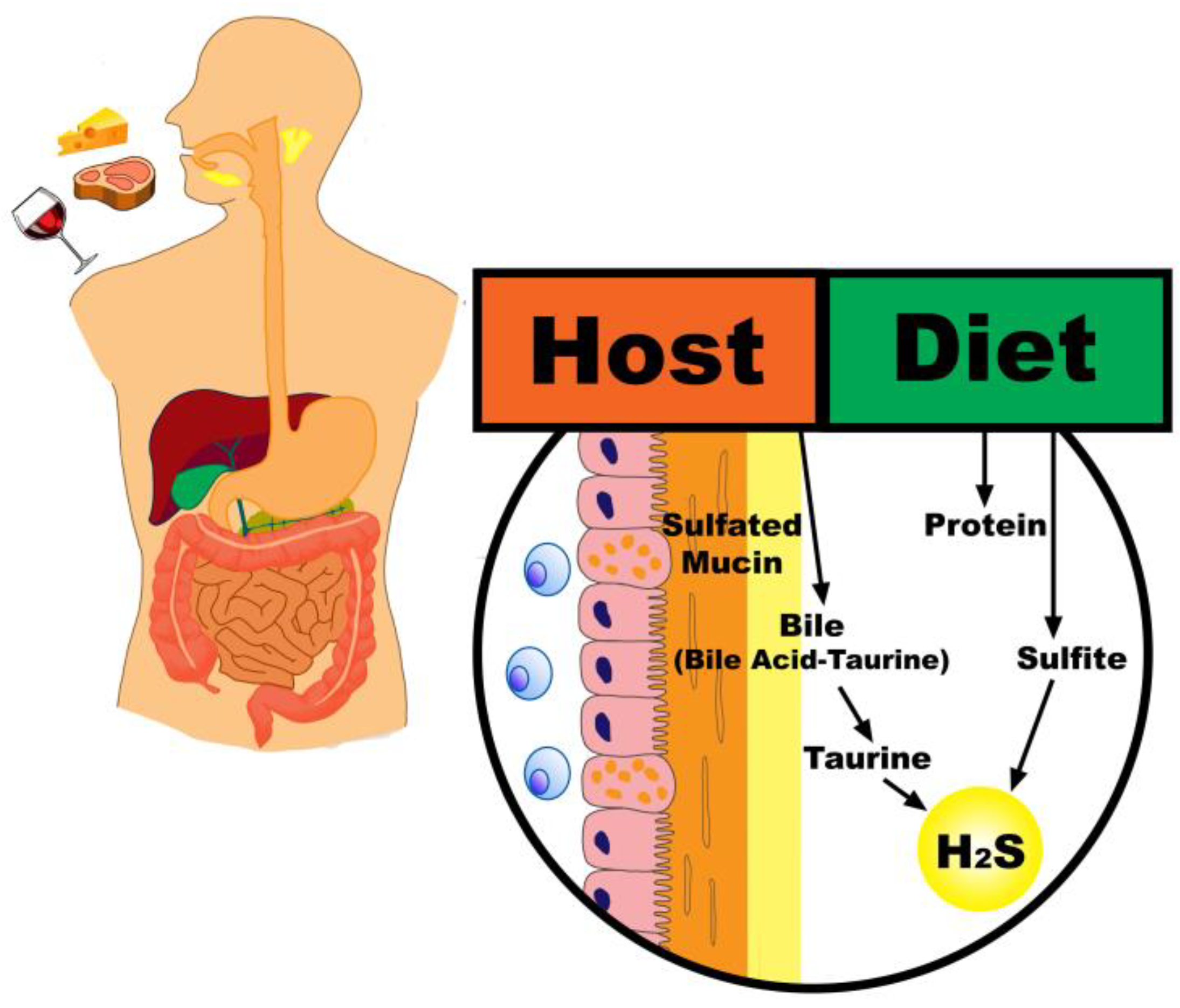 Nutrients 11 00931 g001