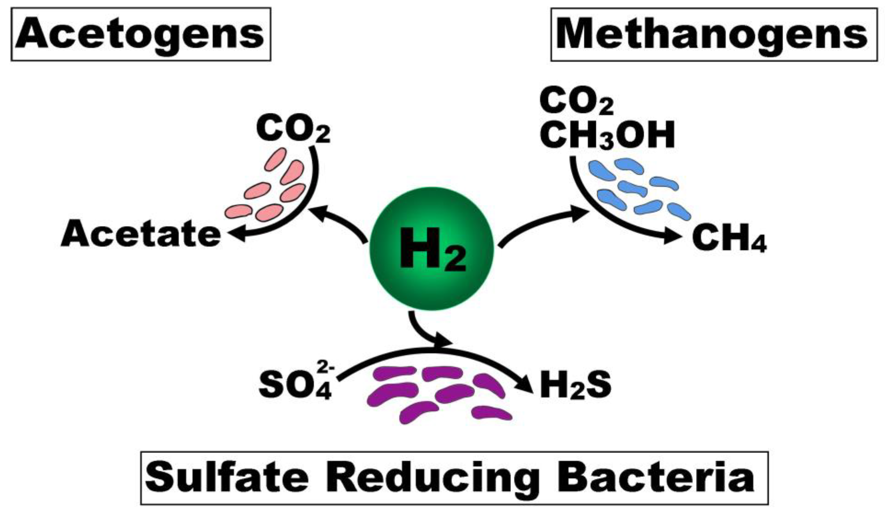 Nutrients 11 00931 g002