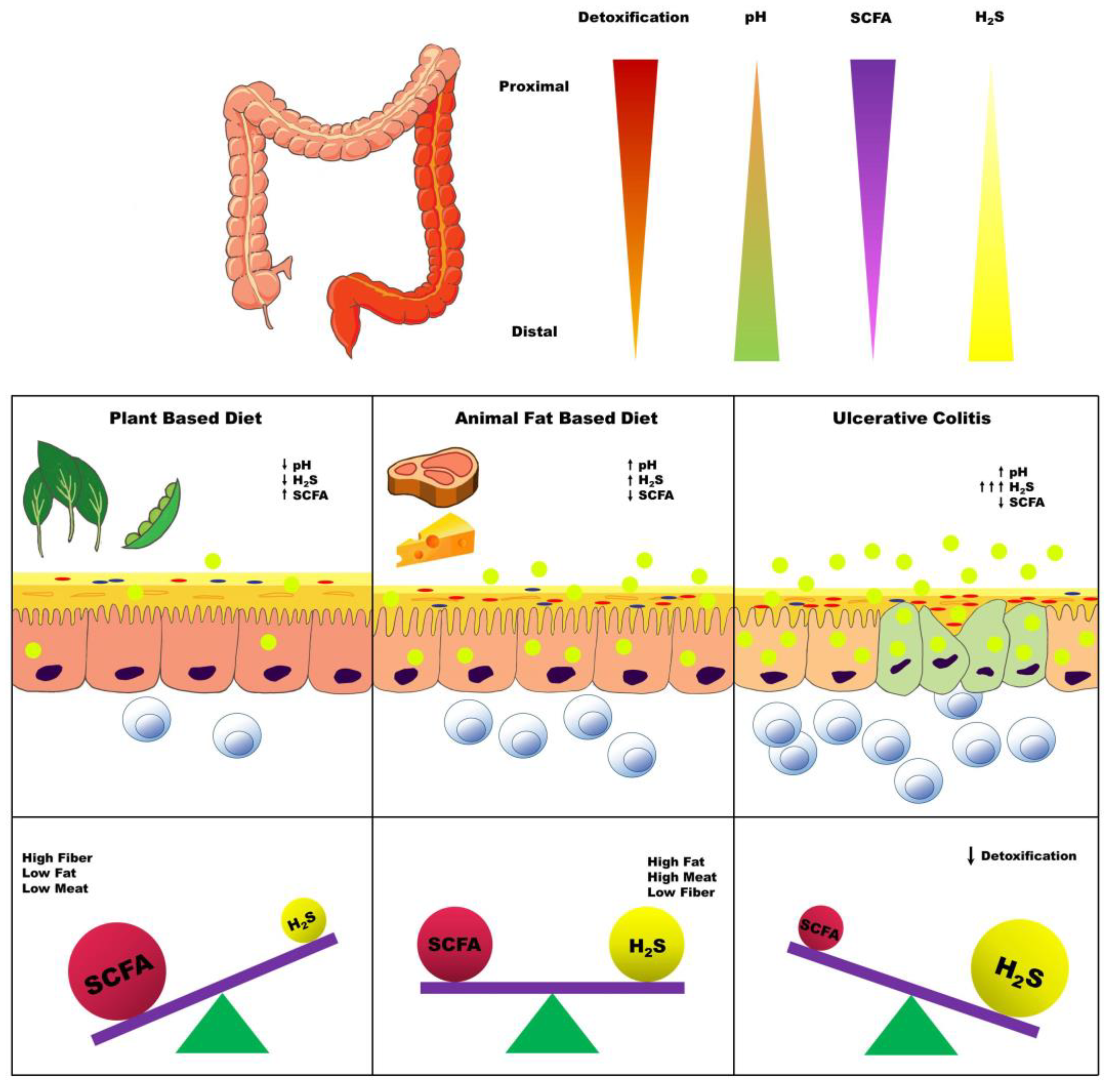 Nutrients 11 00931 g003