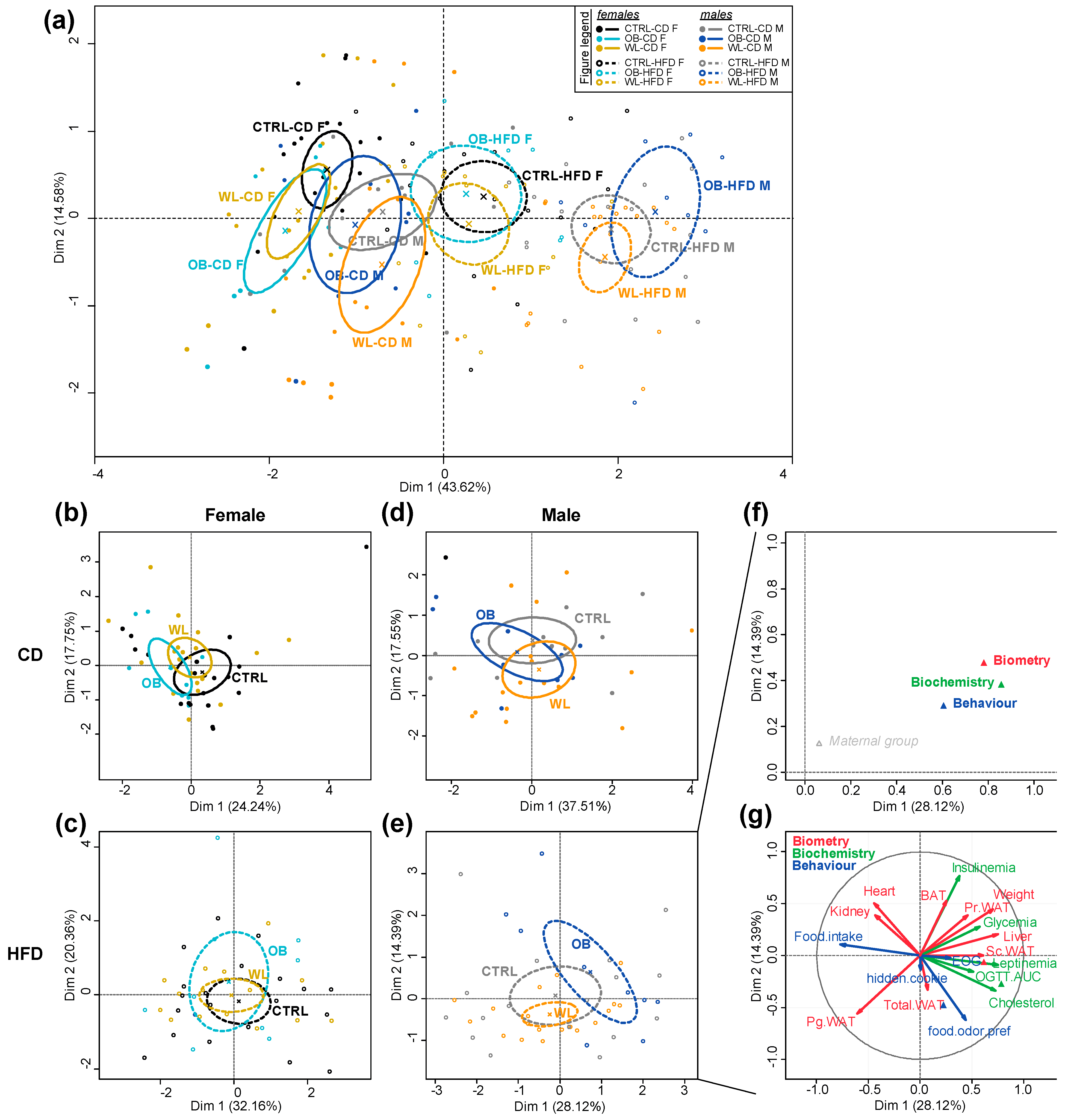 Nutrients 11 00948 g007 Nutrients 11 00948 g007