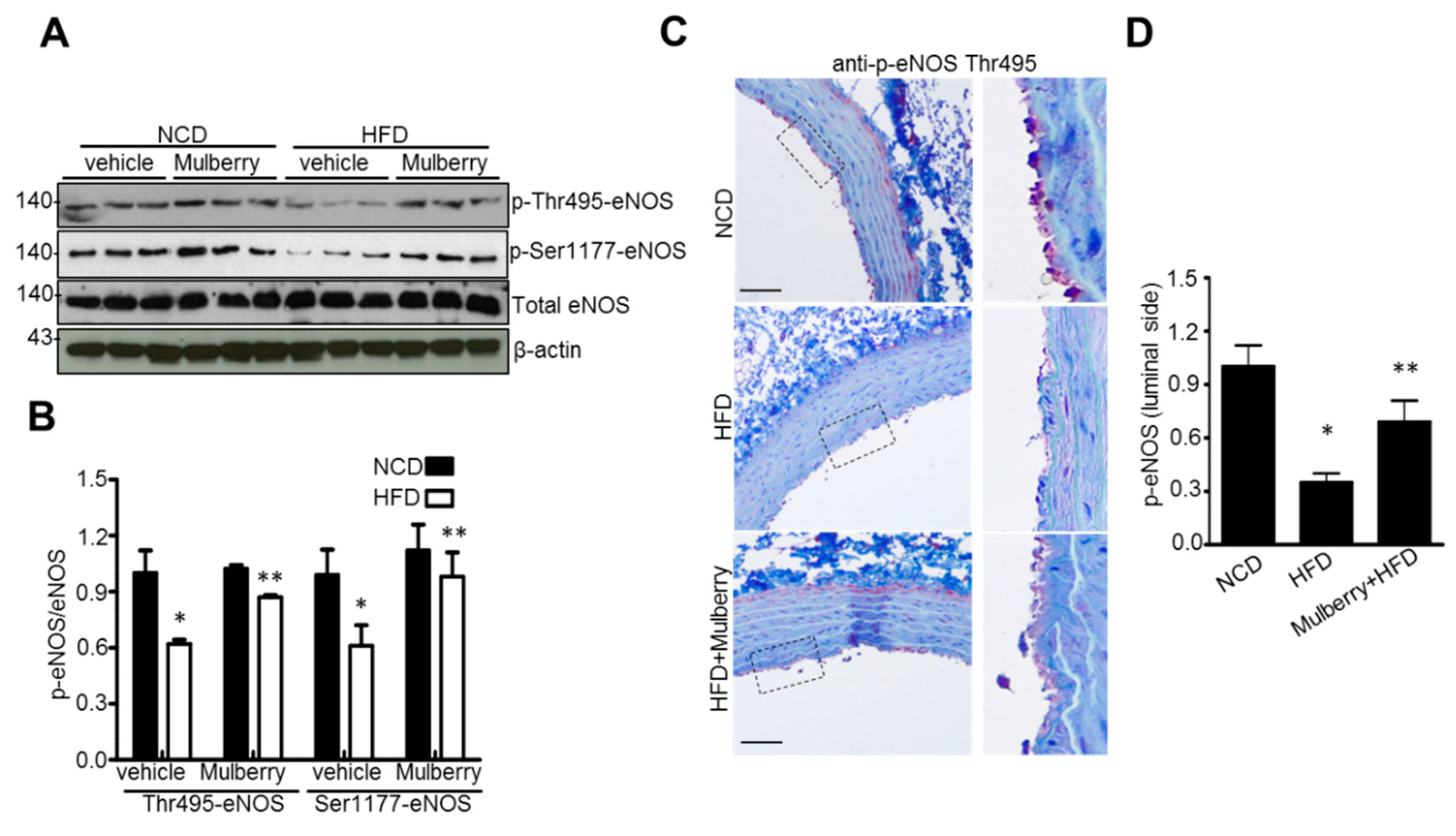 Nutrients 11 00978 g005