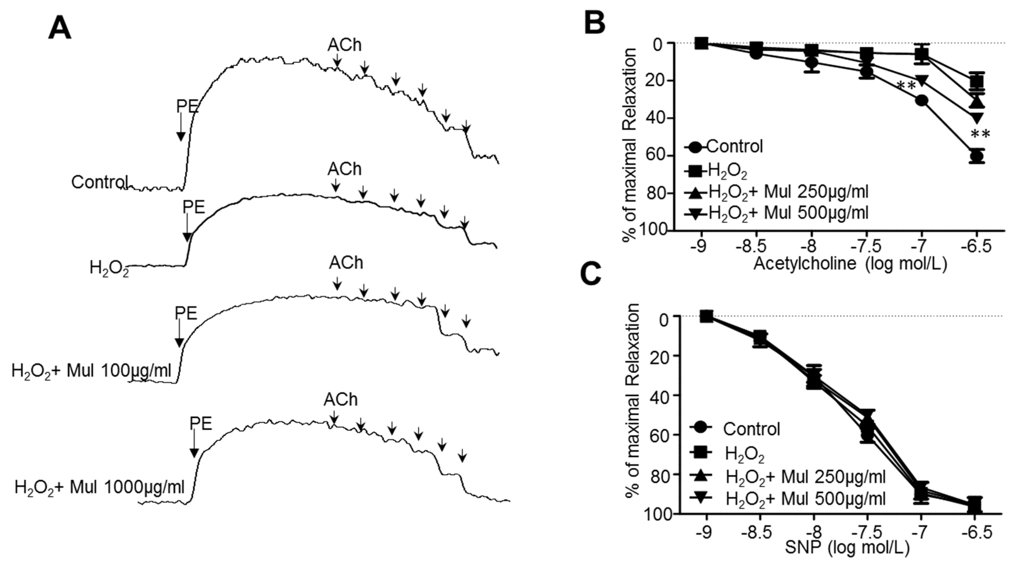 Nutrients 11 00978 g006